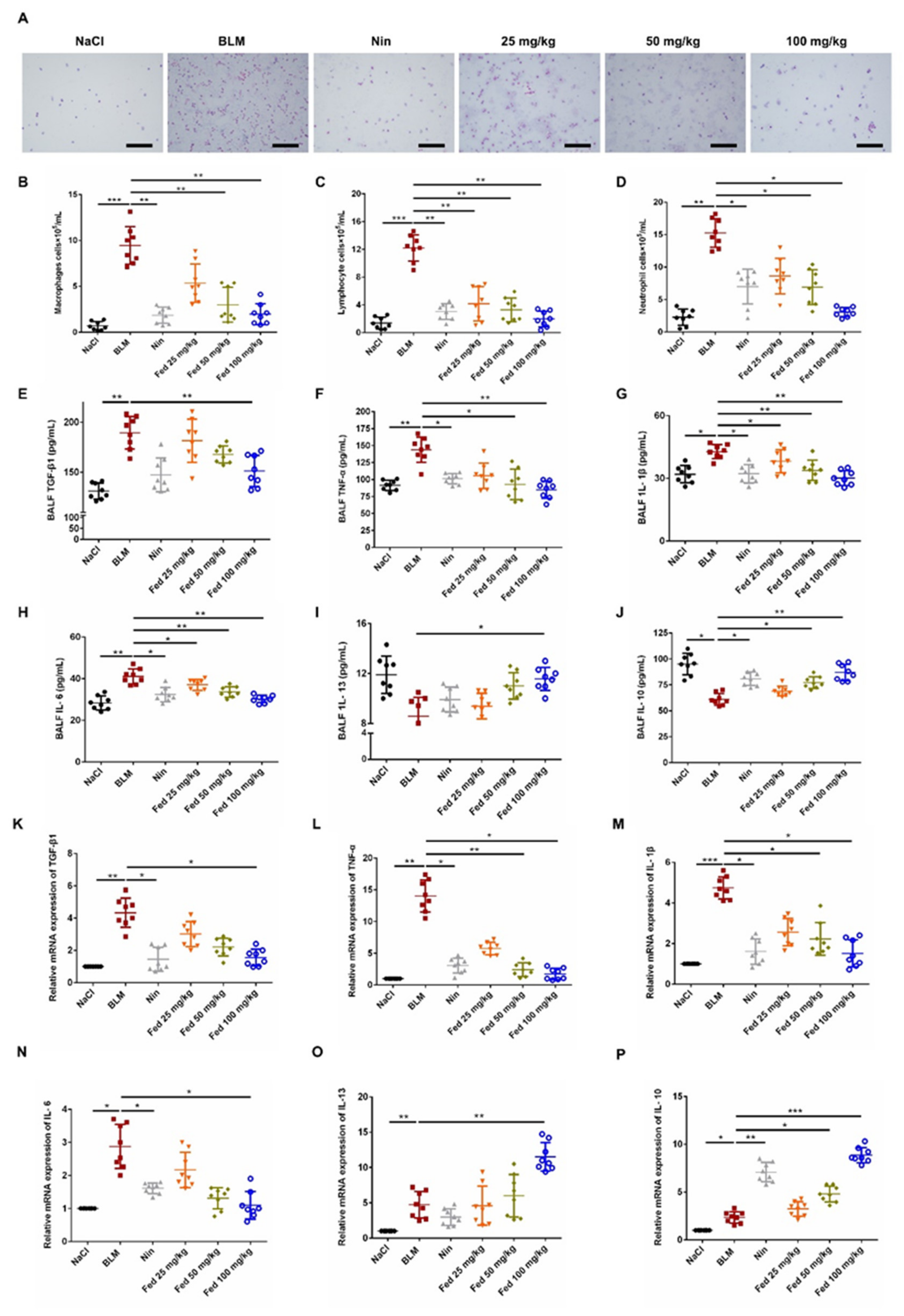 Molecules 26 04491 g007