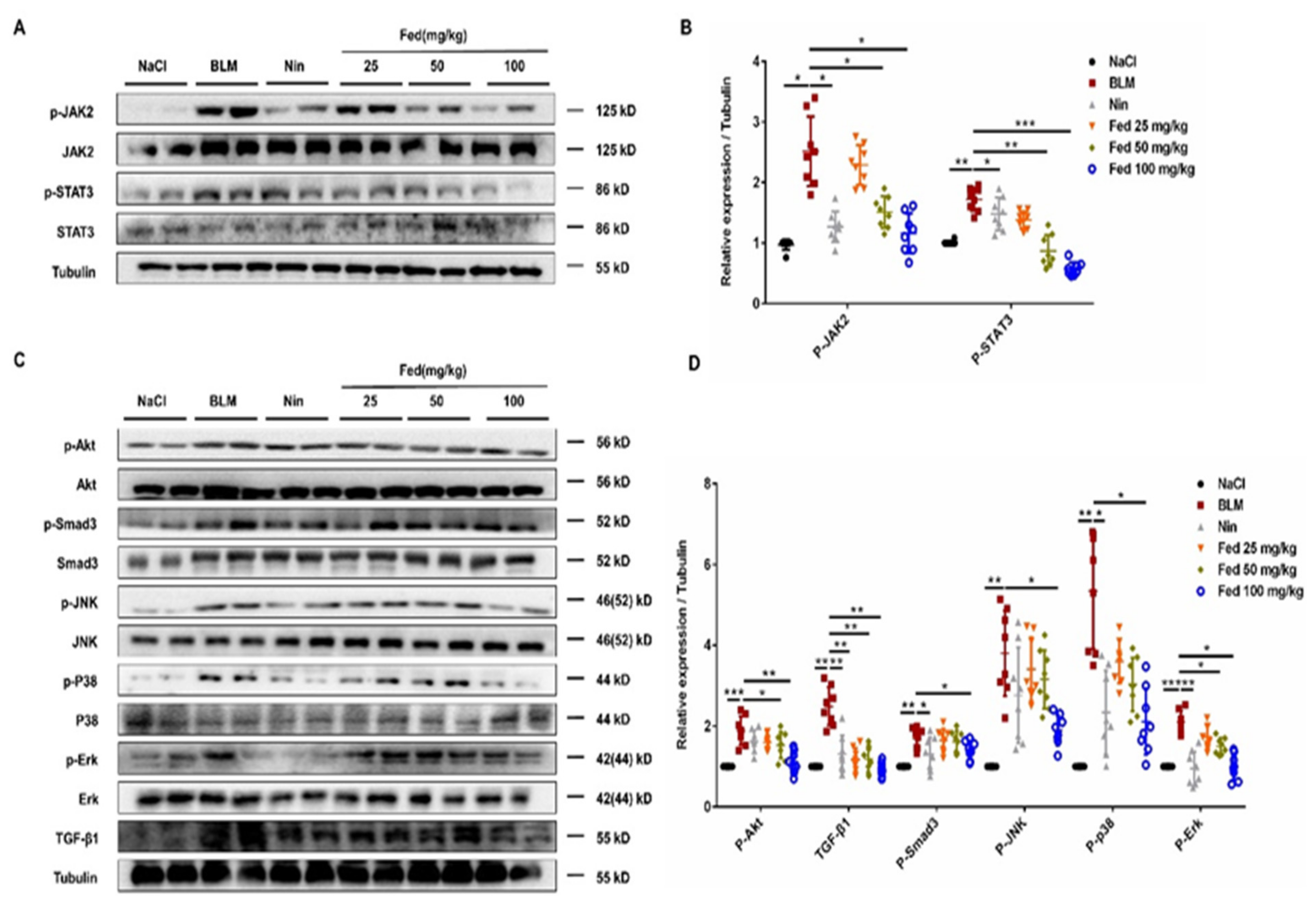 Molecules 26 04491 g009