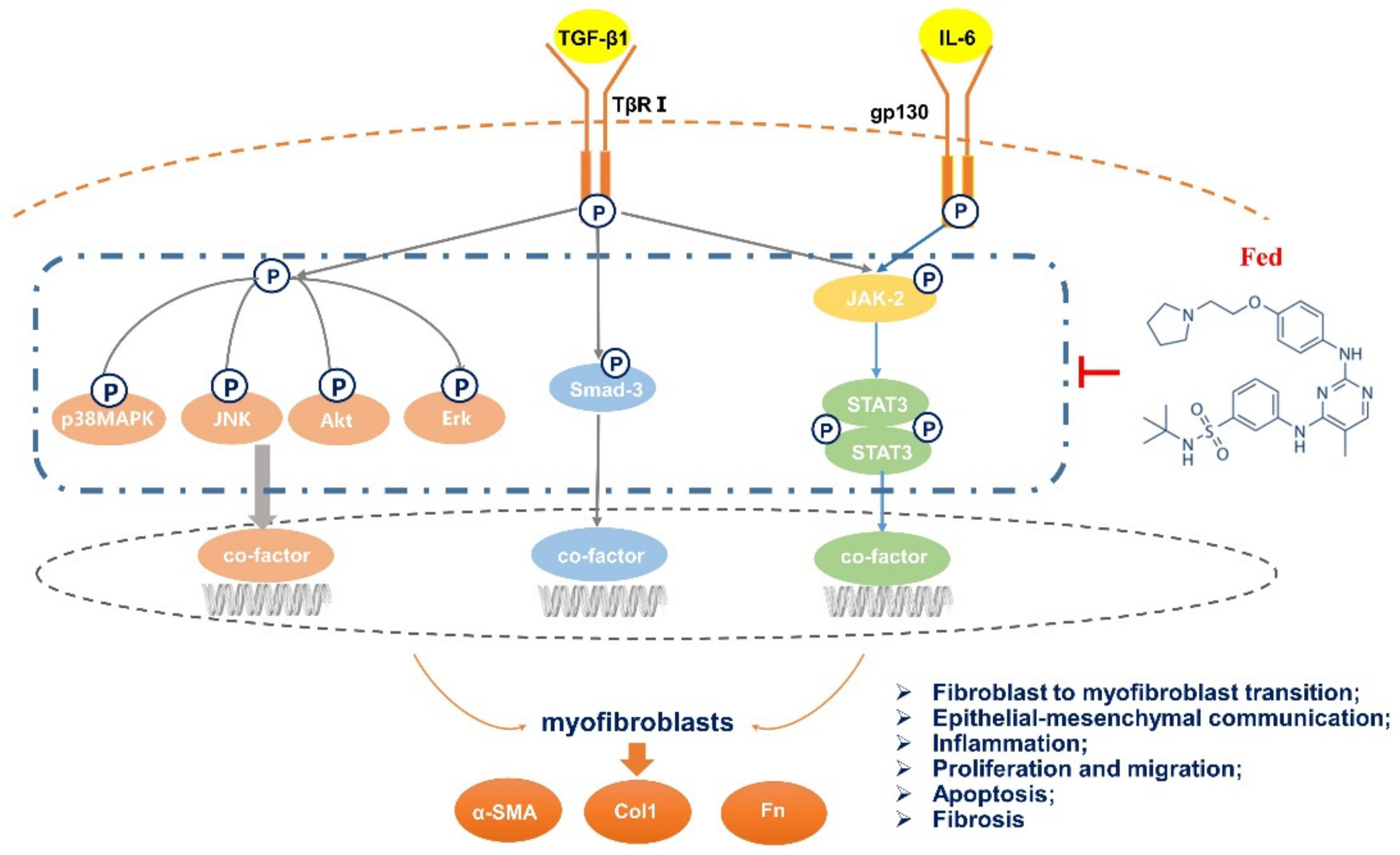 Molecules 26 04491 g010
