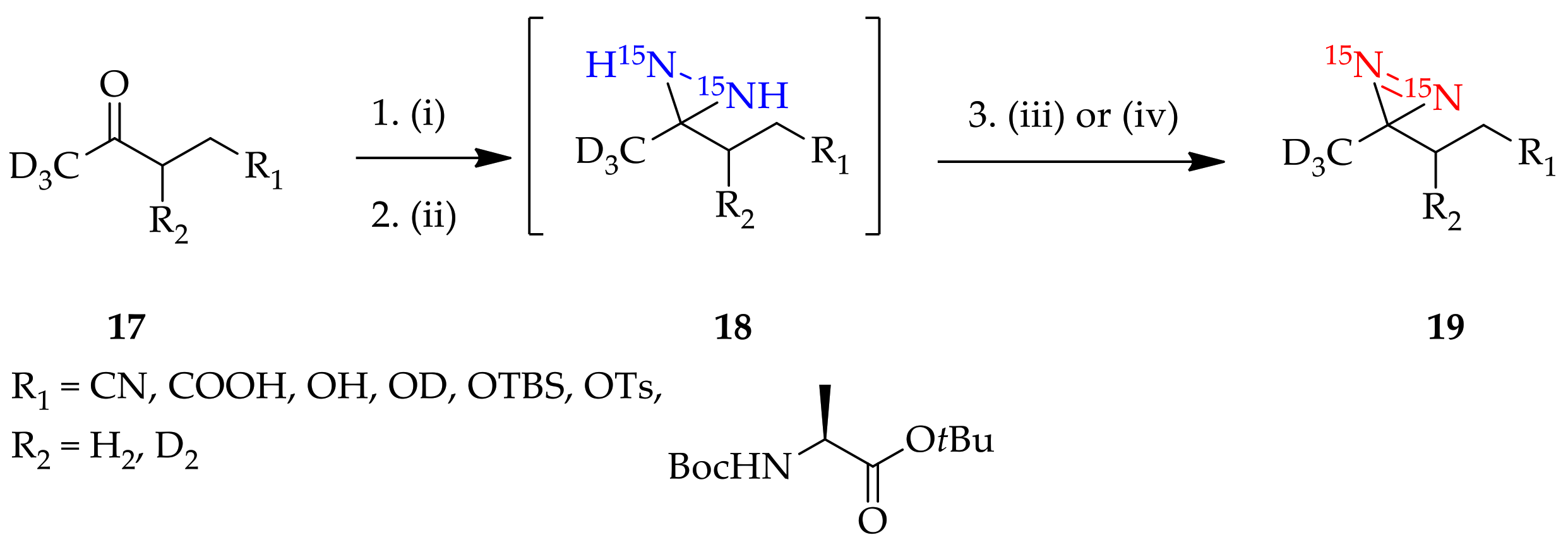Molecules 26 04496 g004