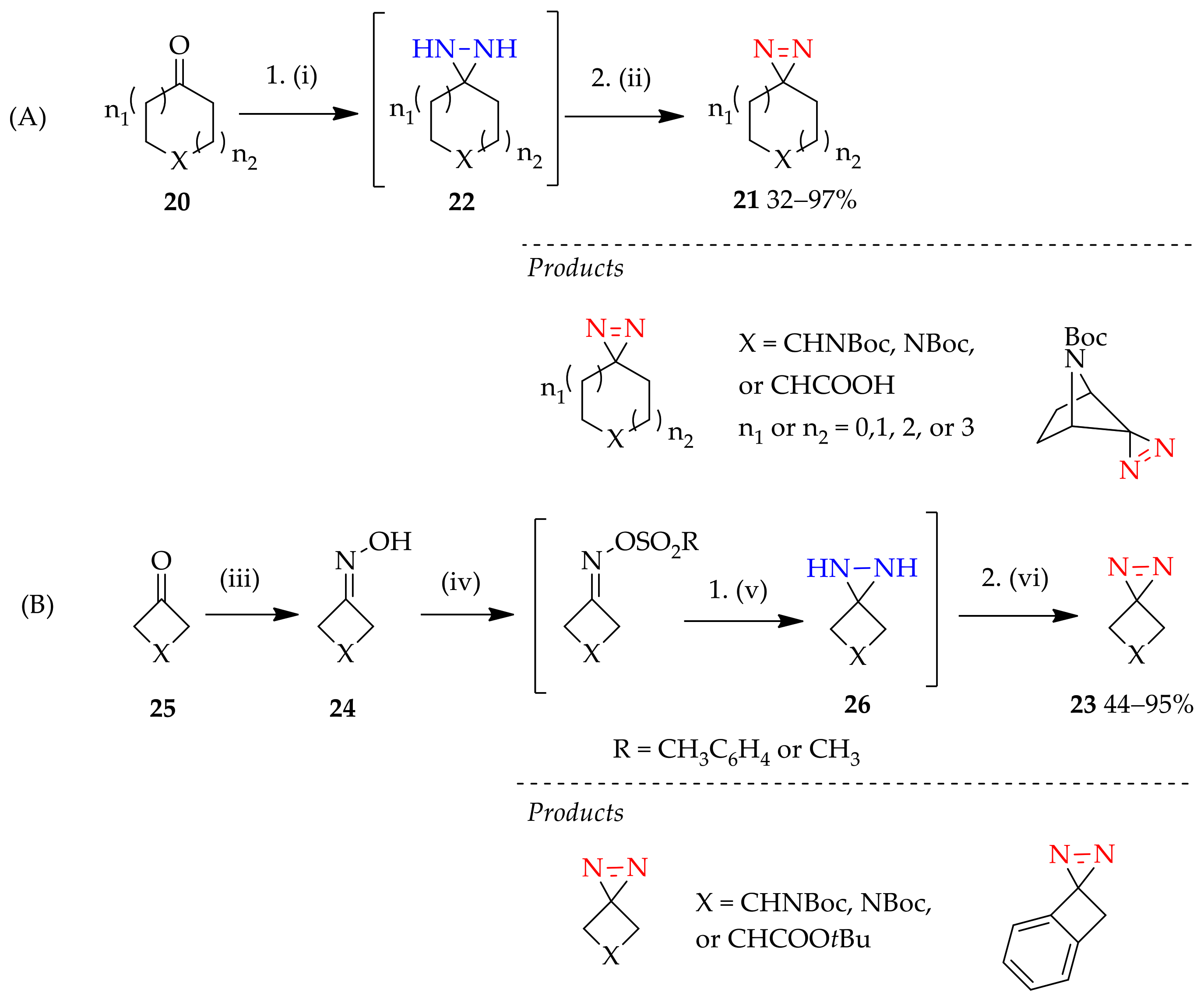 Molecules 26 04496 g005