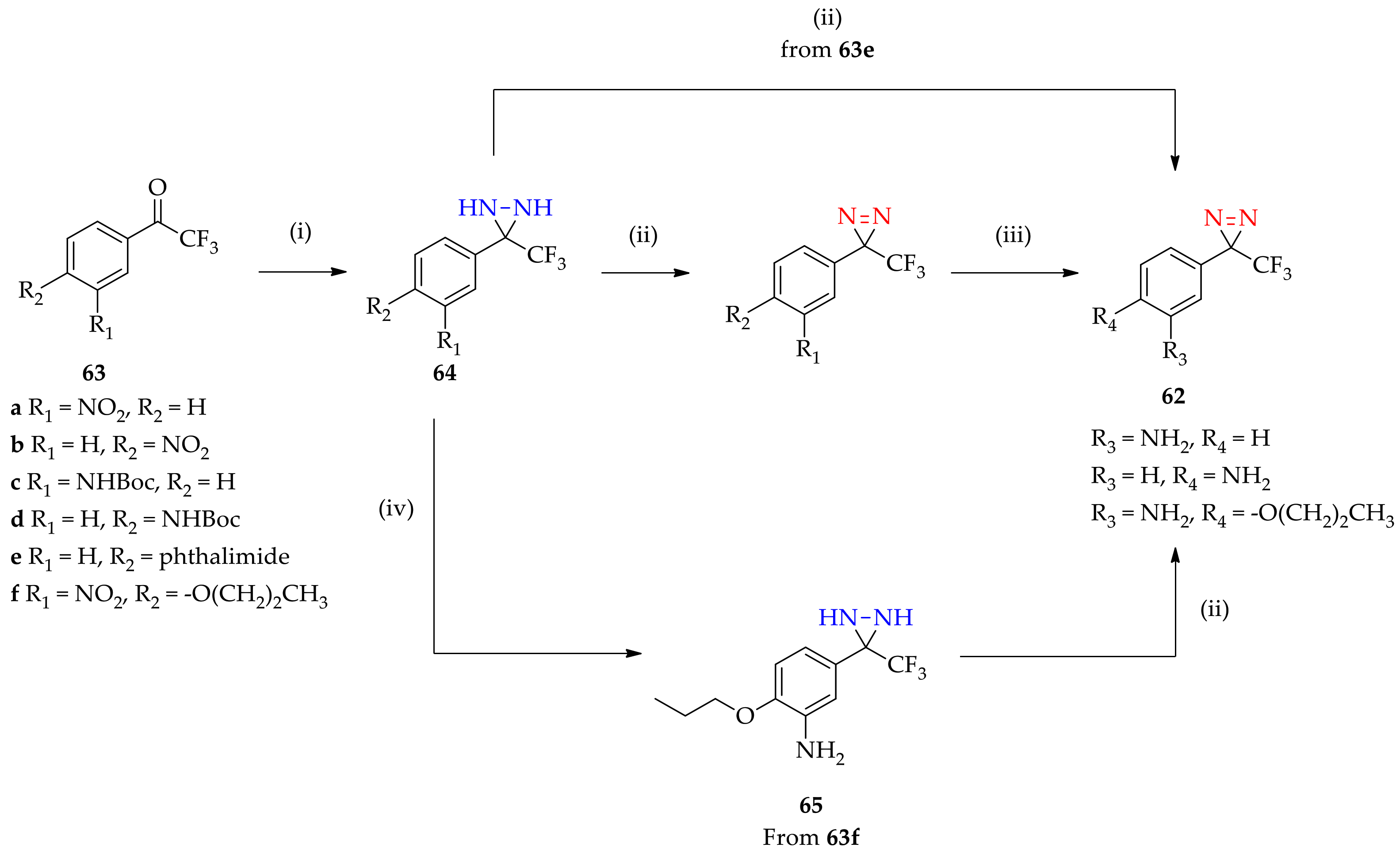 Molecules 26 04496 g008