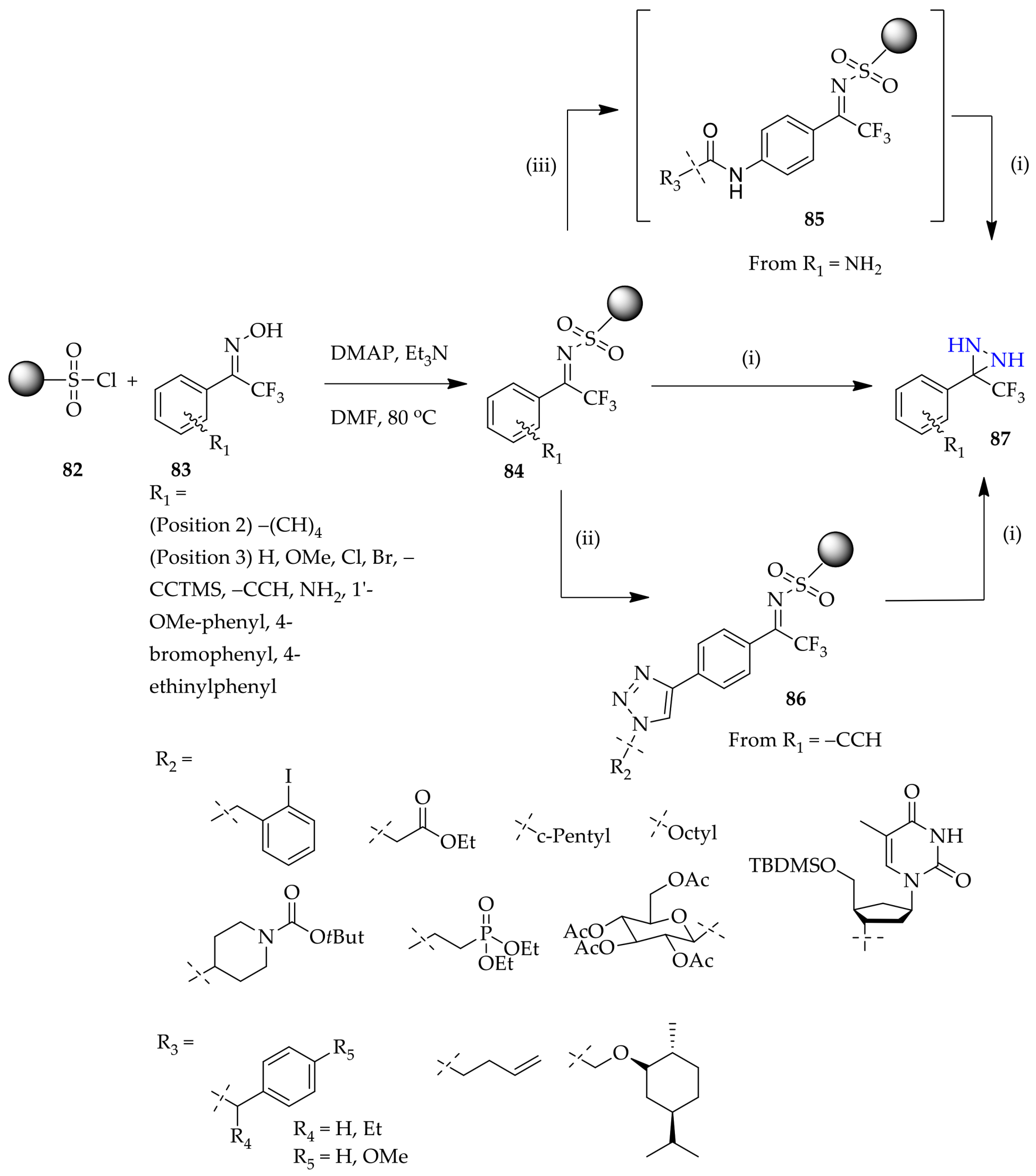 Molecules 26 04496 g011
