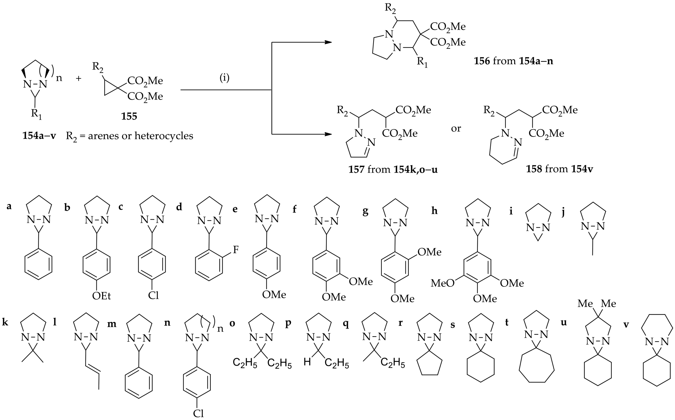 Molecules 26 04496 g020