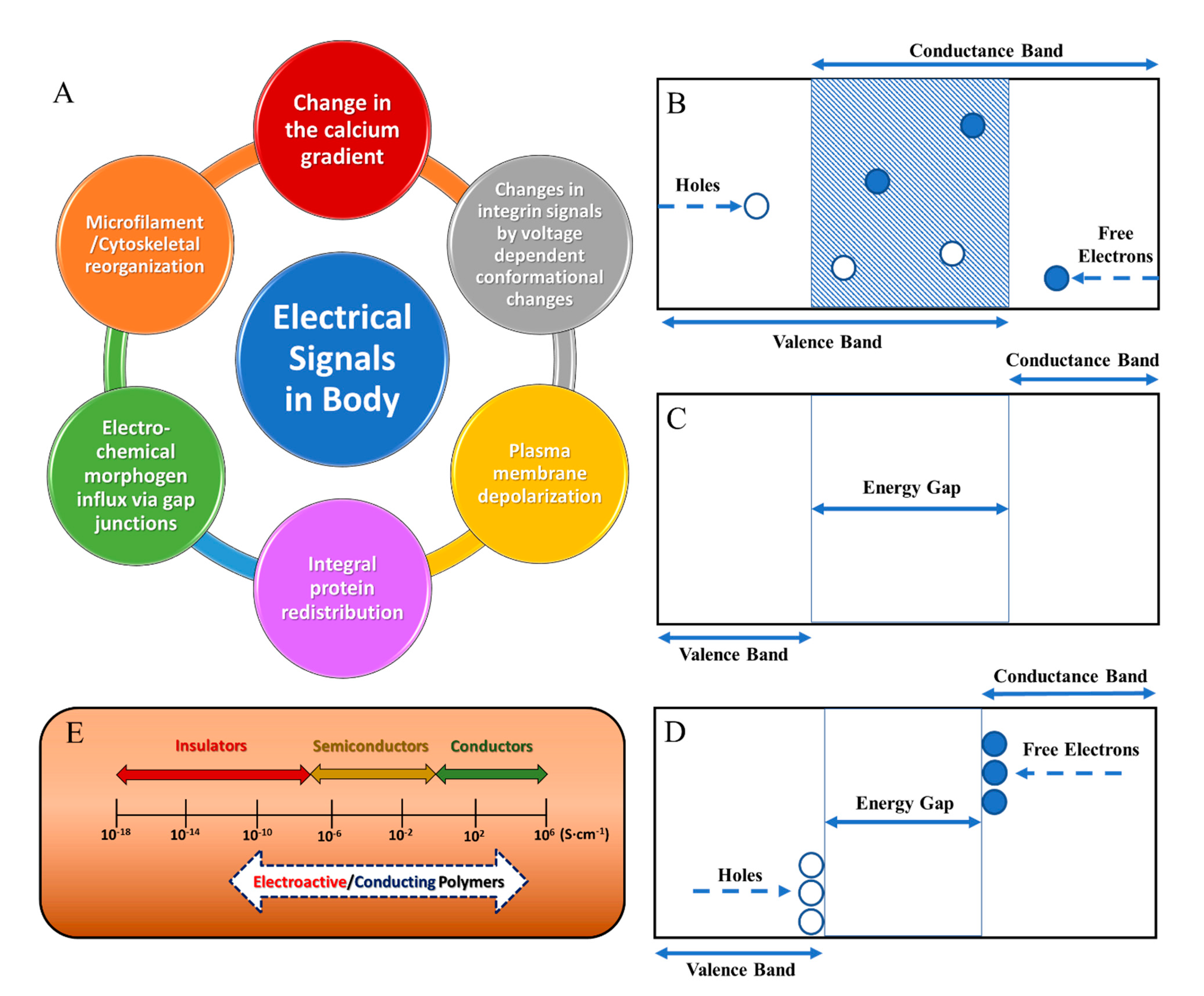 Molecules 26 04499 g001