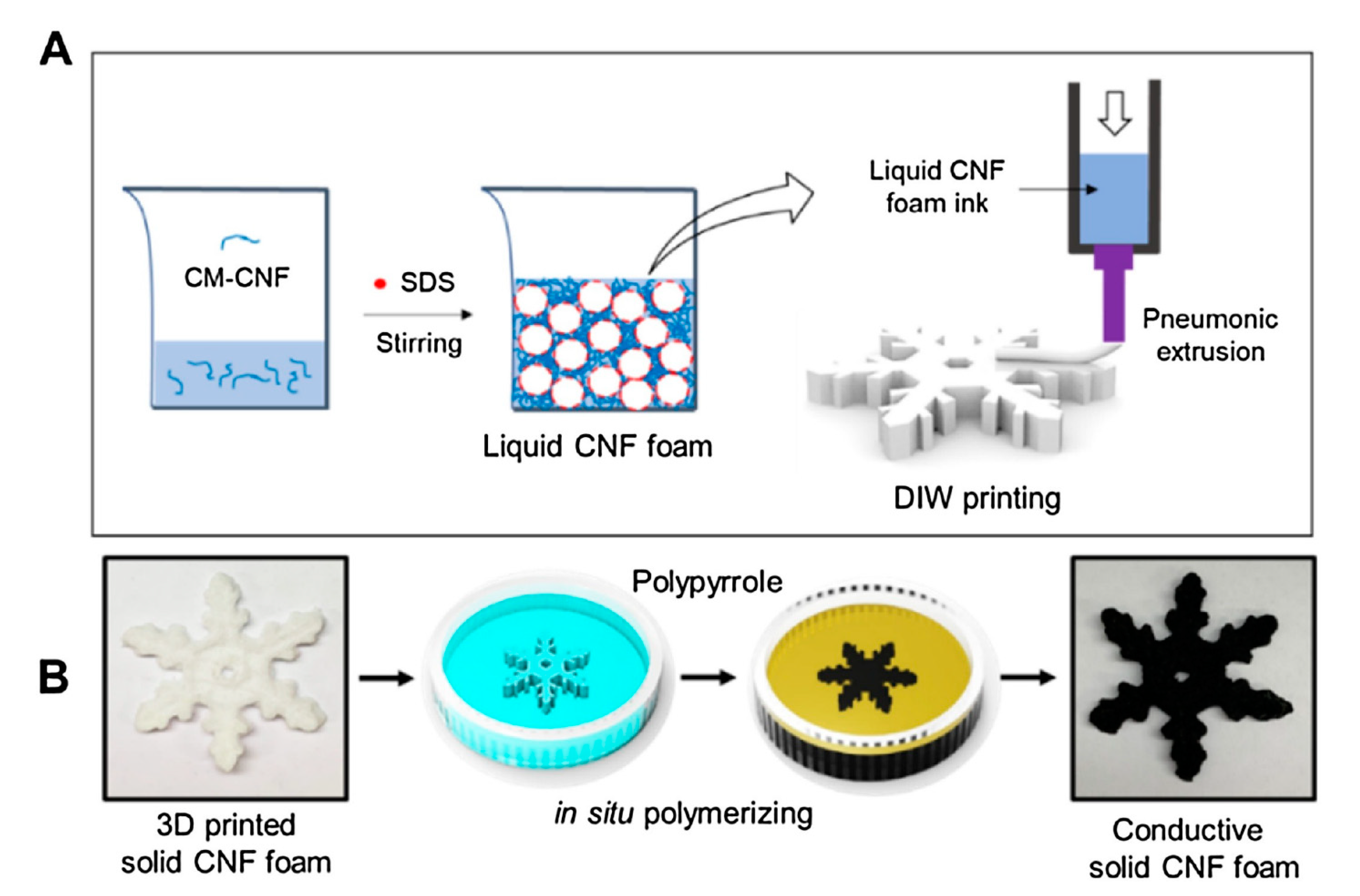Molecules 26 04499 g004