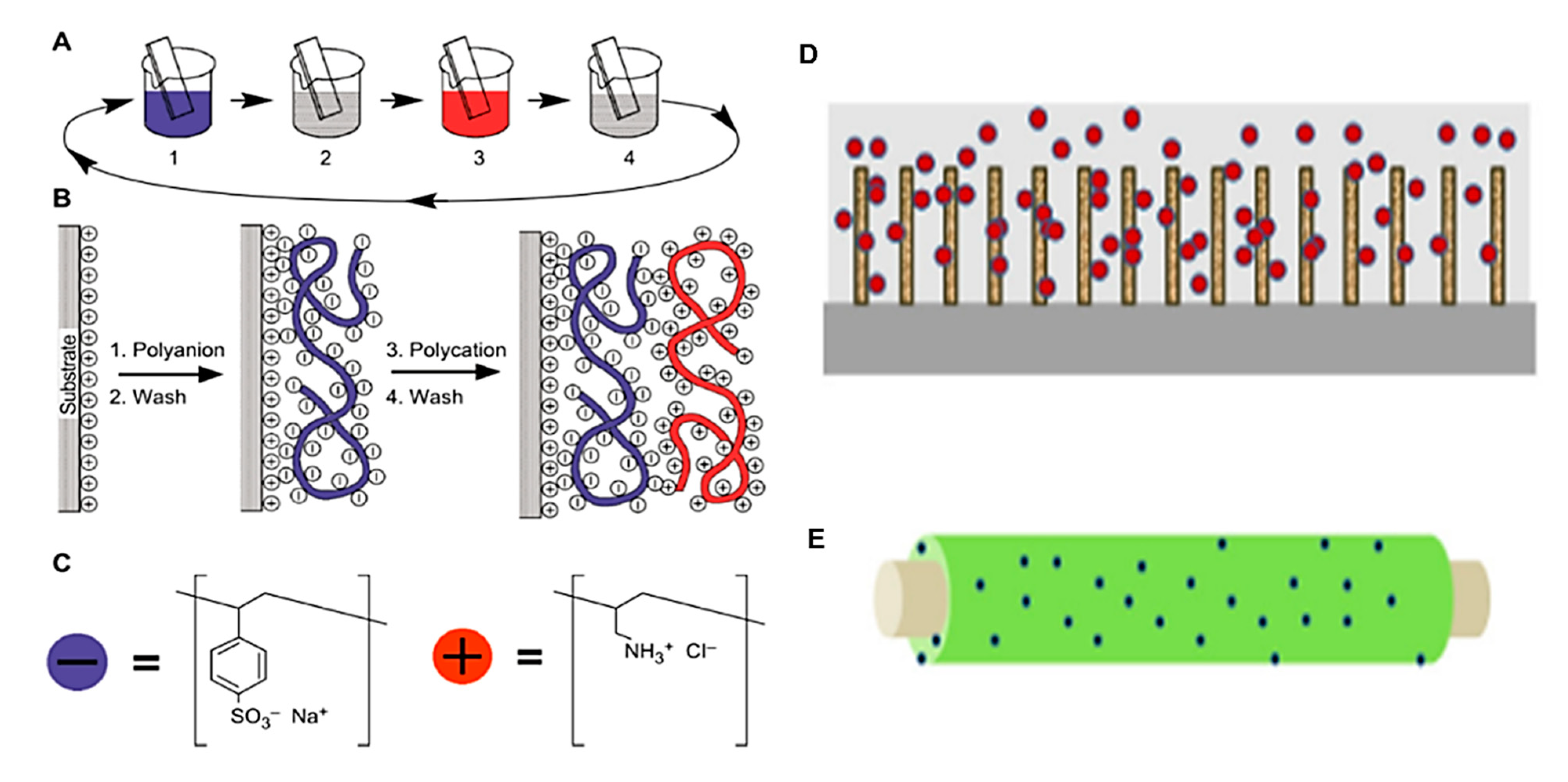 Molecules 26 04499 g005