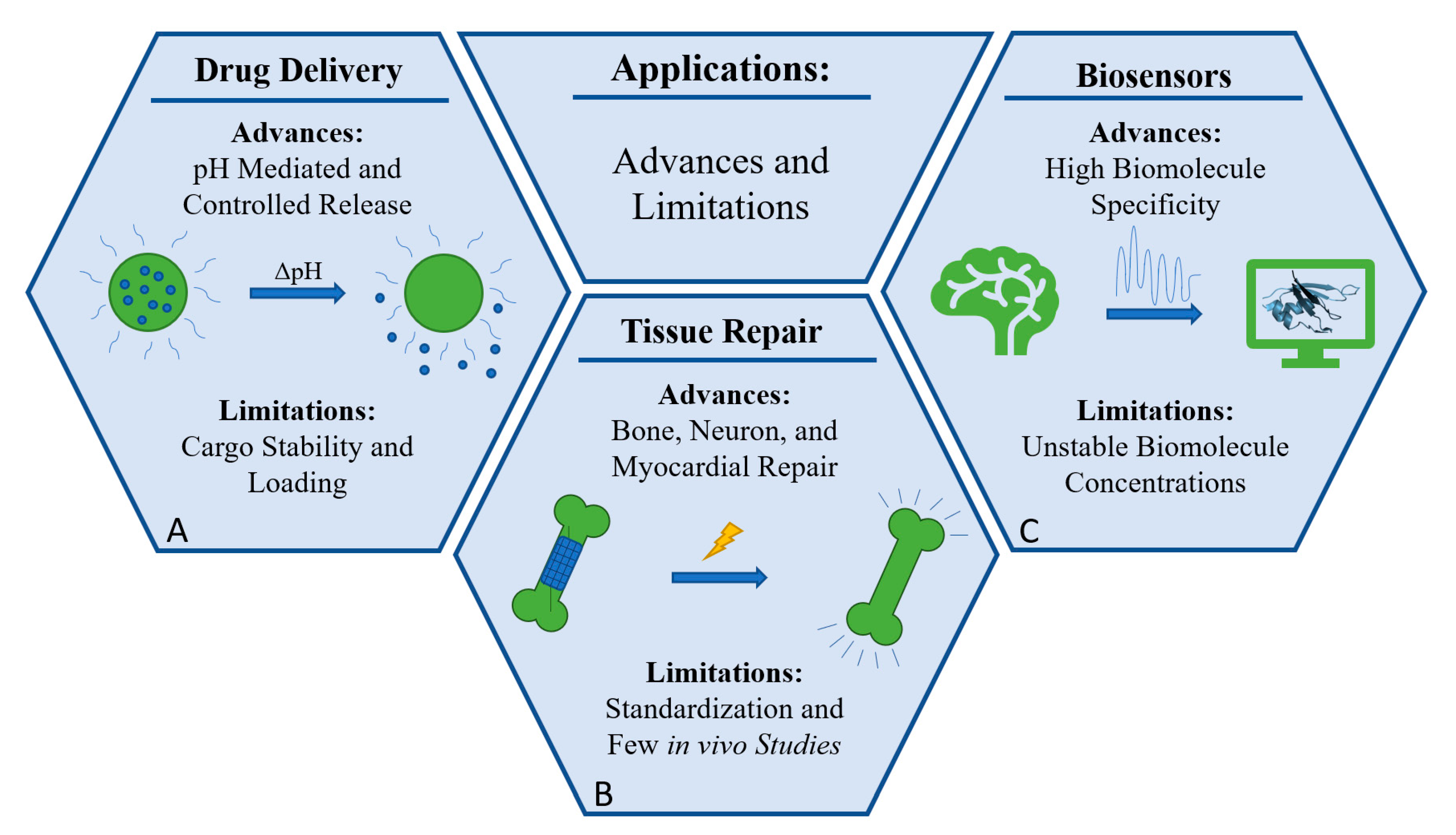 Molecules 26 04499 g007