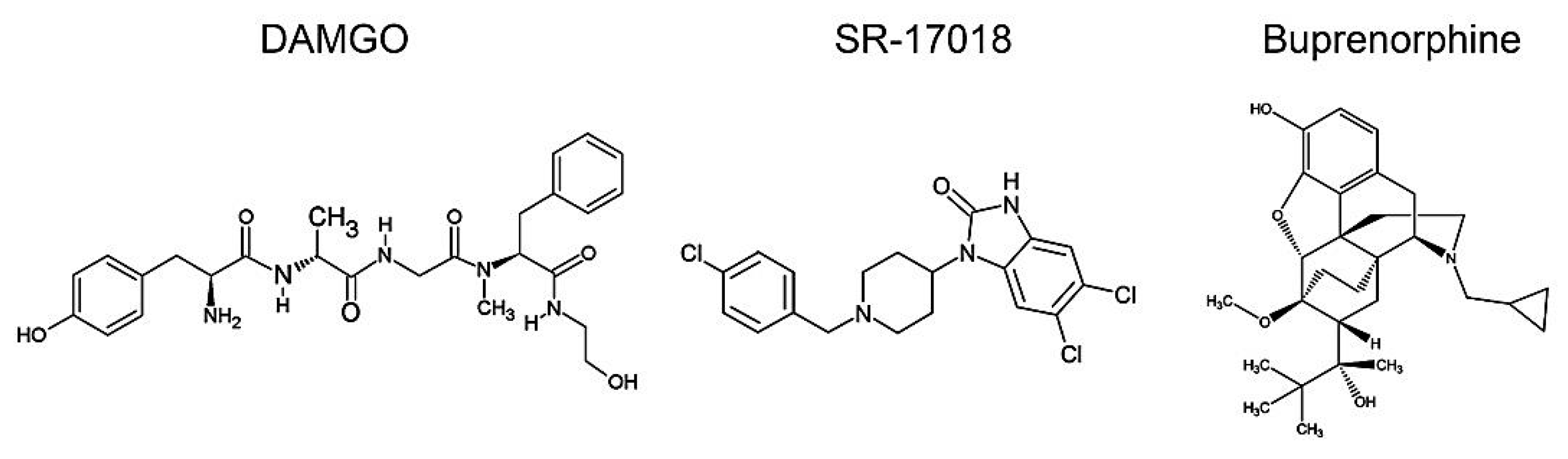 Molecules 26 04509 g001