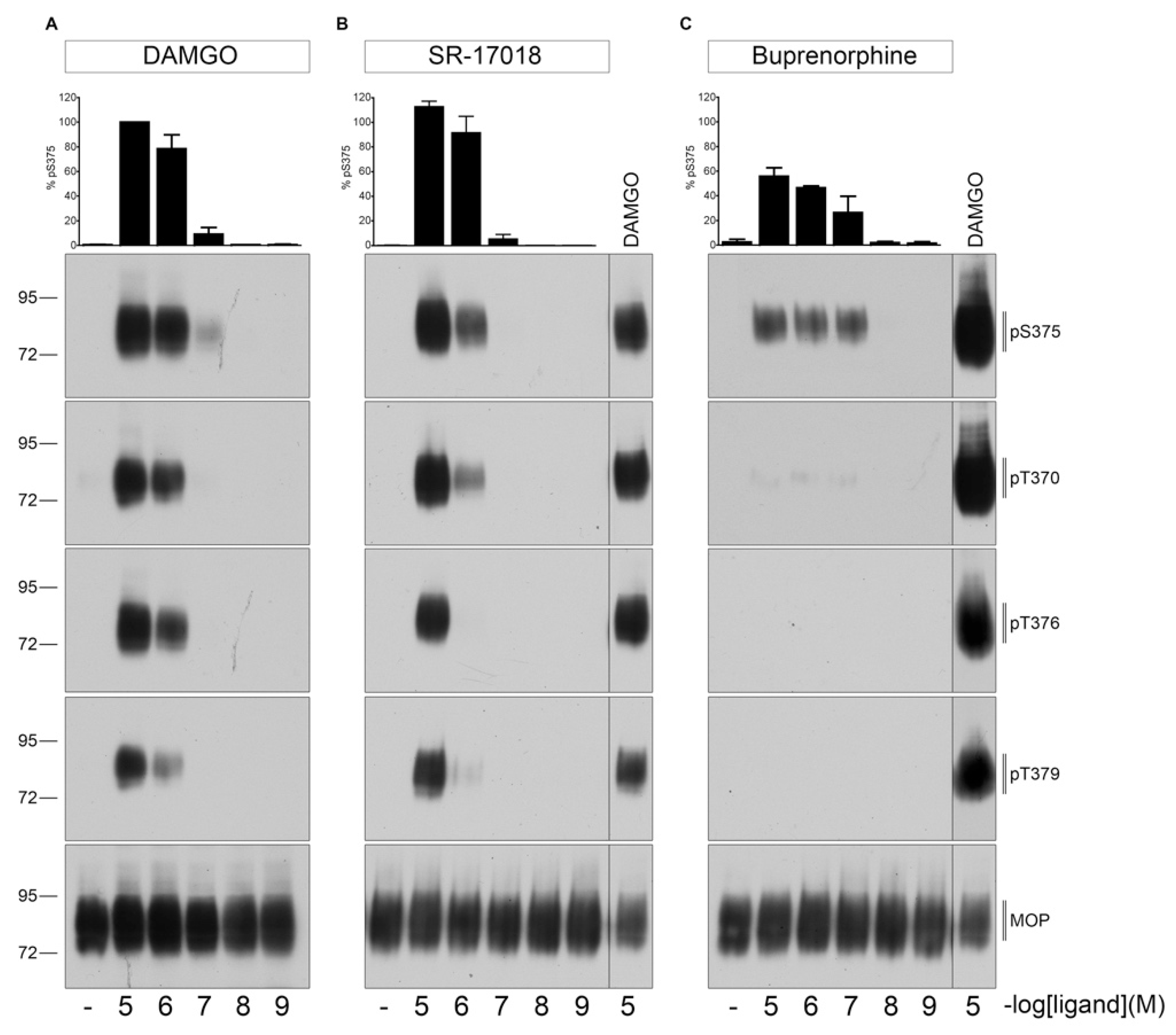 Molecules 26 04509 g002