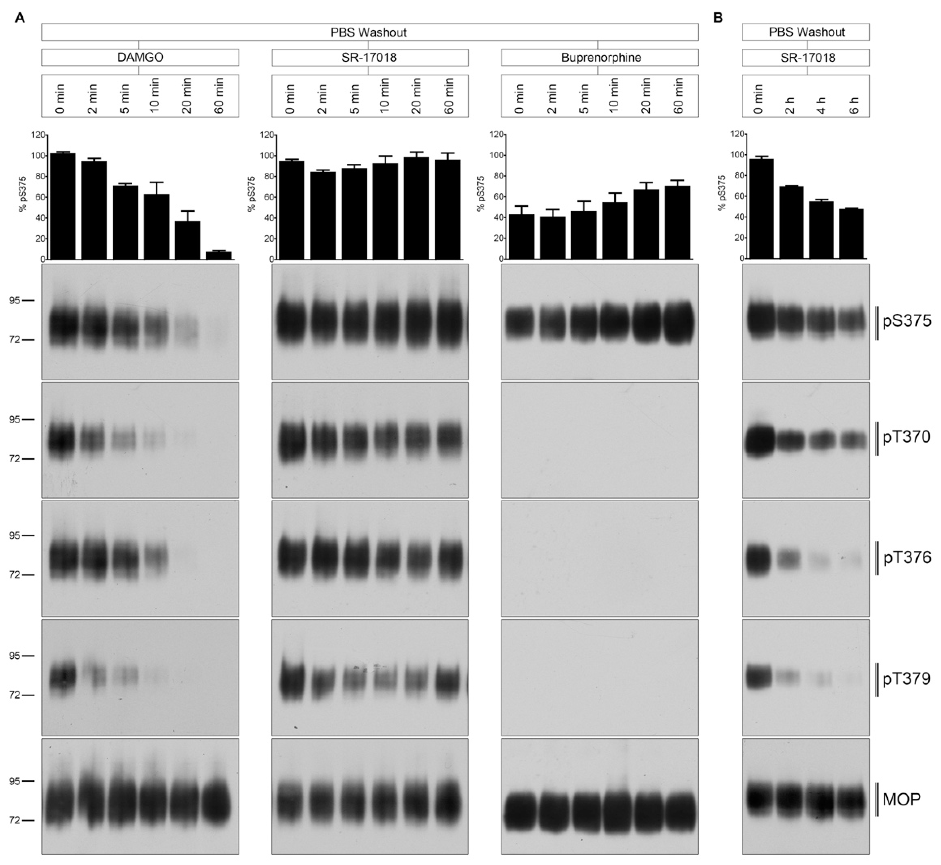 Molecules 26 04509 g004