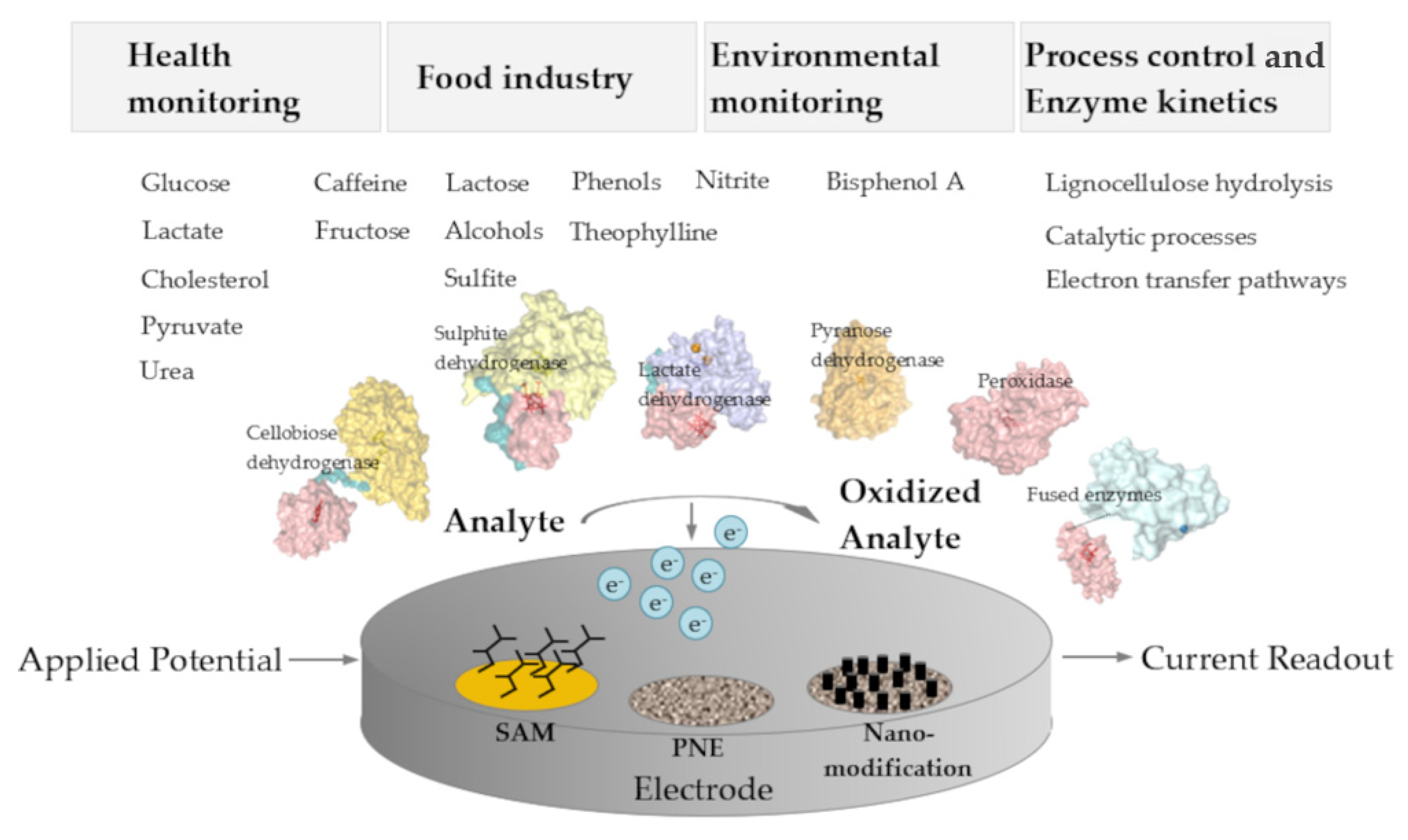 Molecules 26 04525 g002 Molecules 26 04525 g002