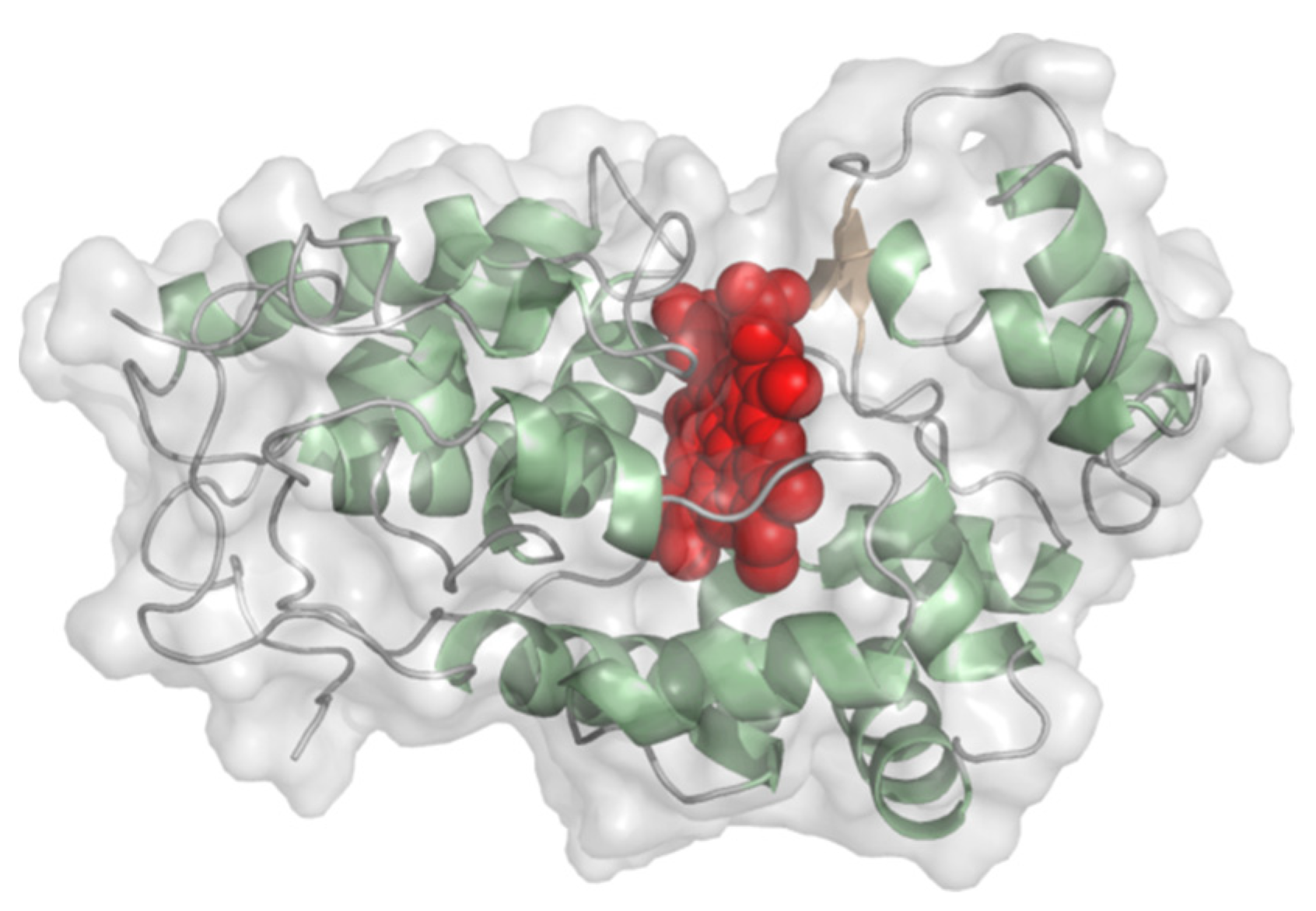 Molecules 26 04525 g003 Molecules 26 04525 g003