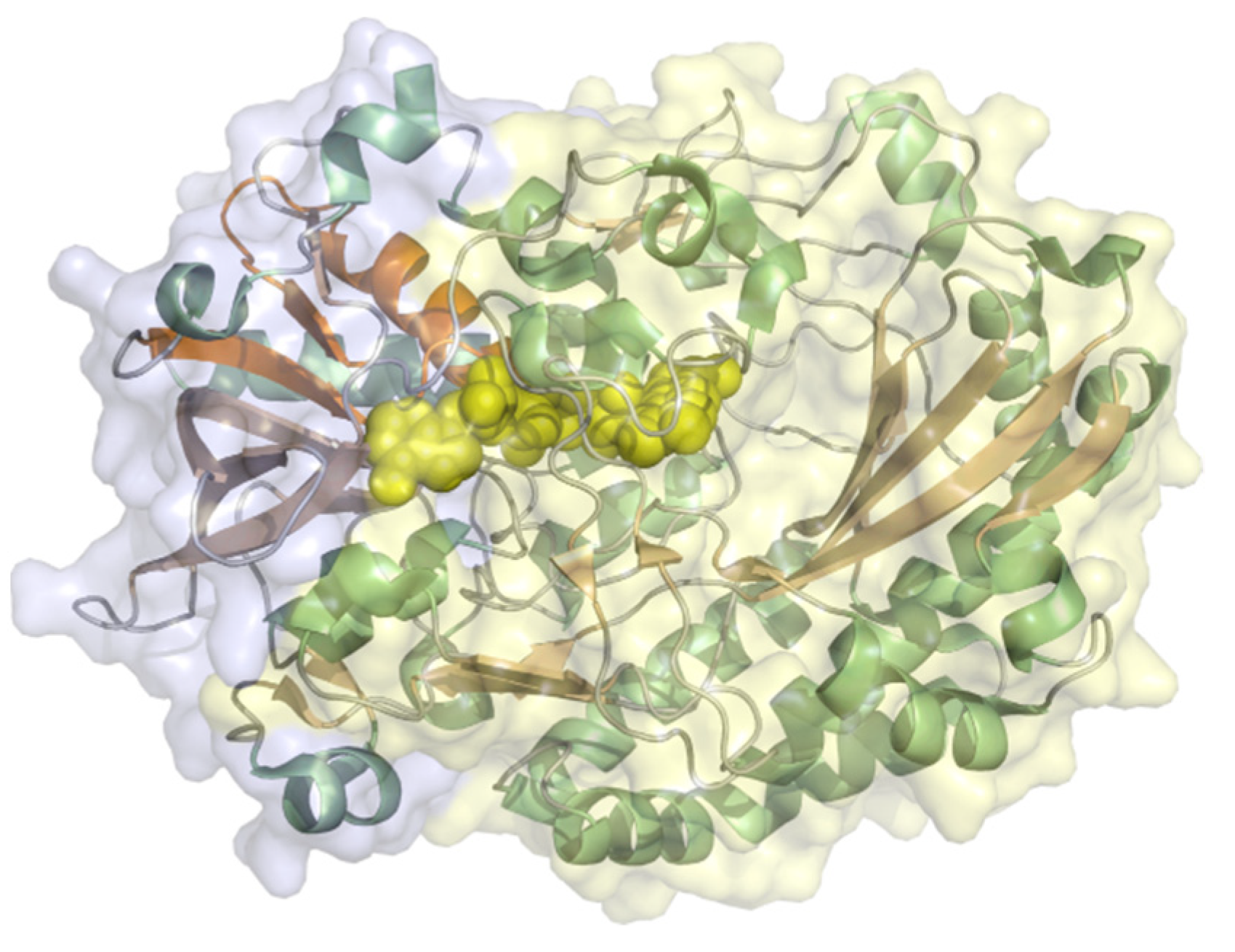 Molecules 26 04525 g004 Molecules 26 04525 g004