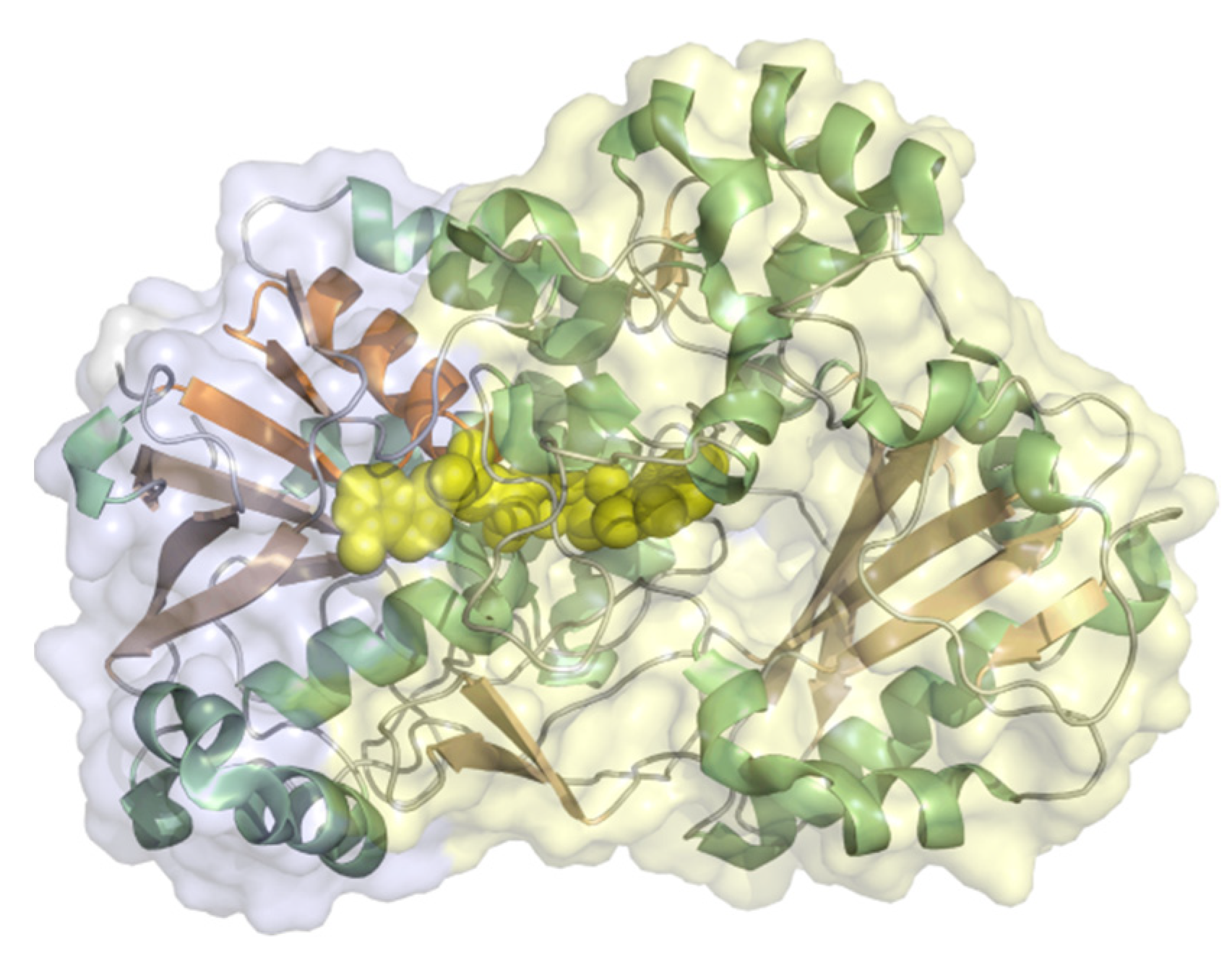Molecules 26 04525 g006 Molecules 26 04525 g006