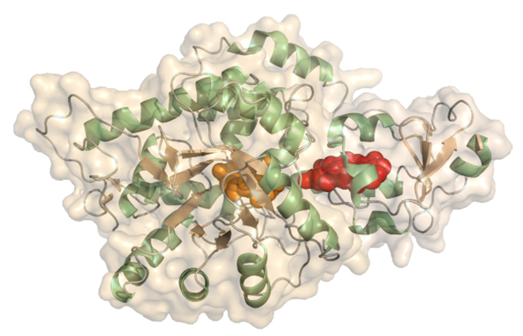 Molecules 26 04525 g011 Molecules 26 04525 g011