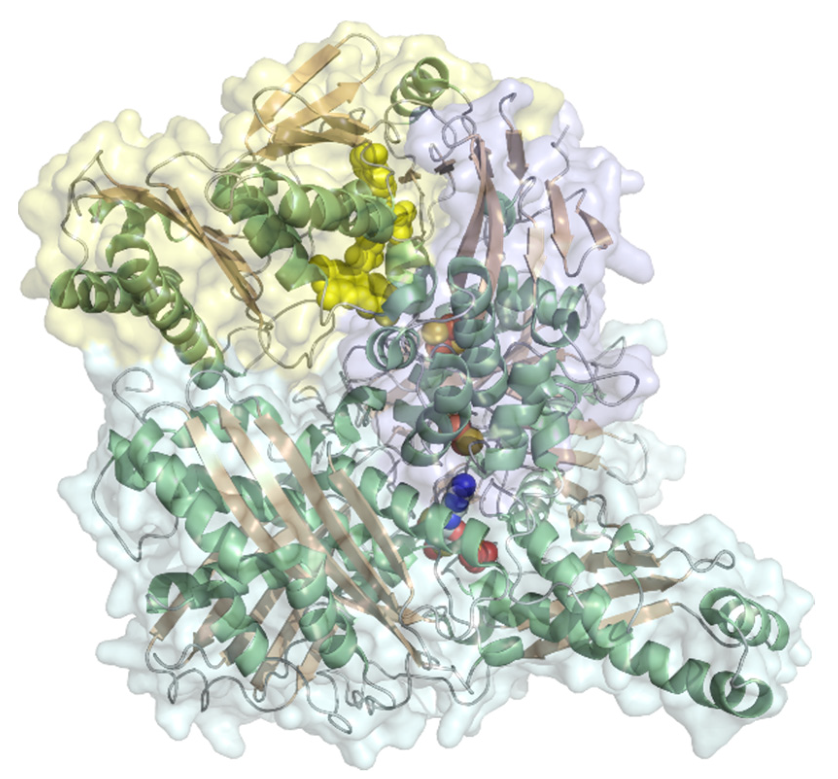 Molecules 26 04525 g012 Molecules 26 04525 g012