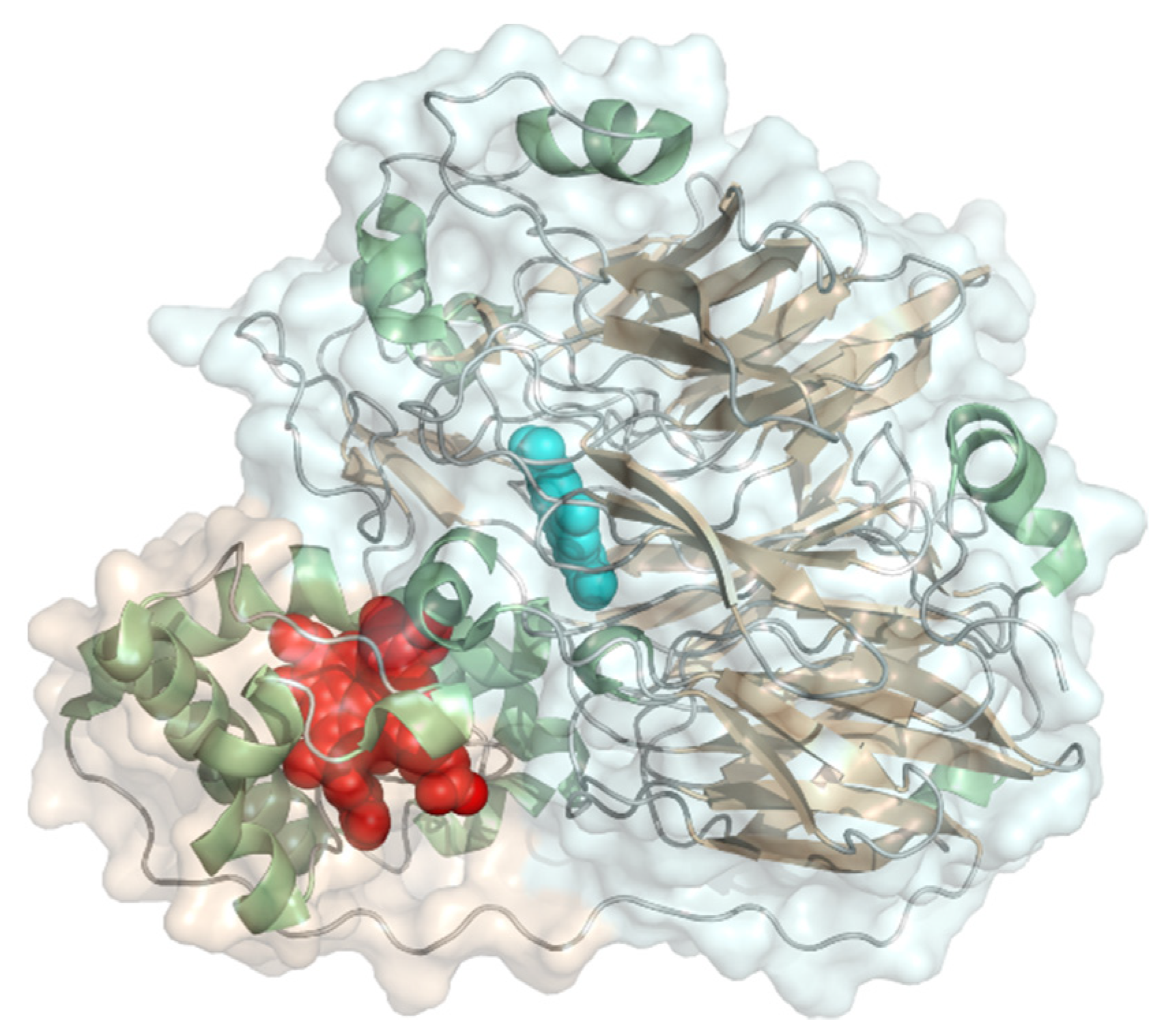Molecules 26 04525 g015 Molecules 26 04525 g015