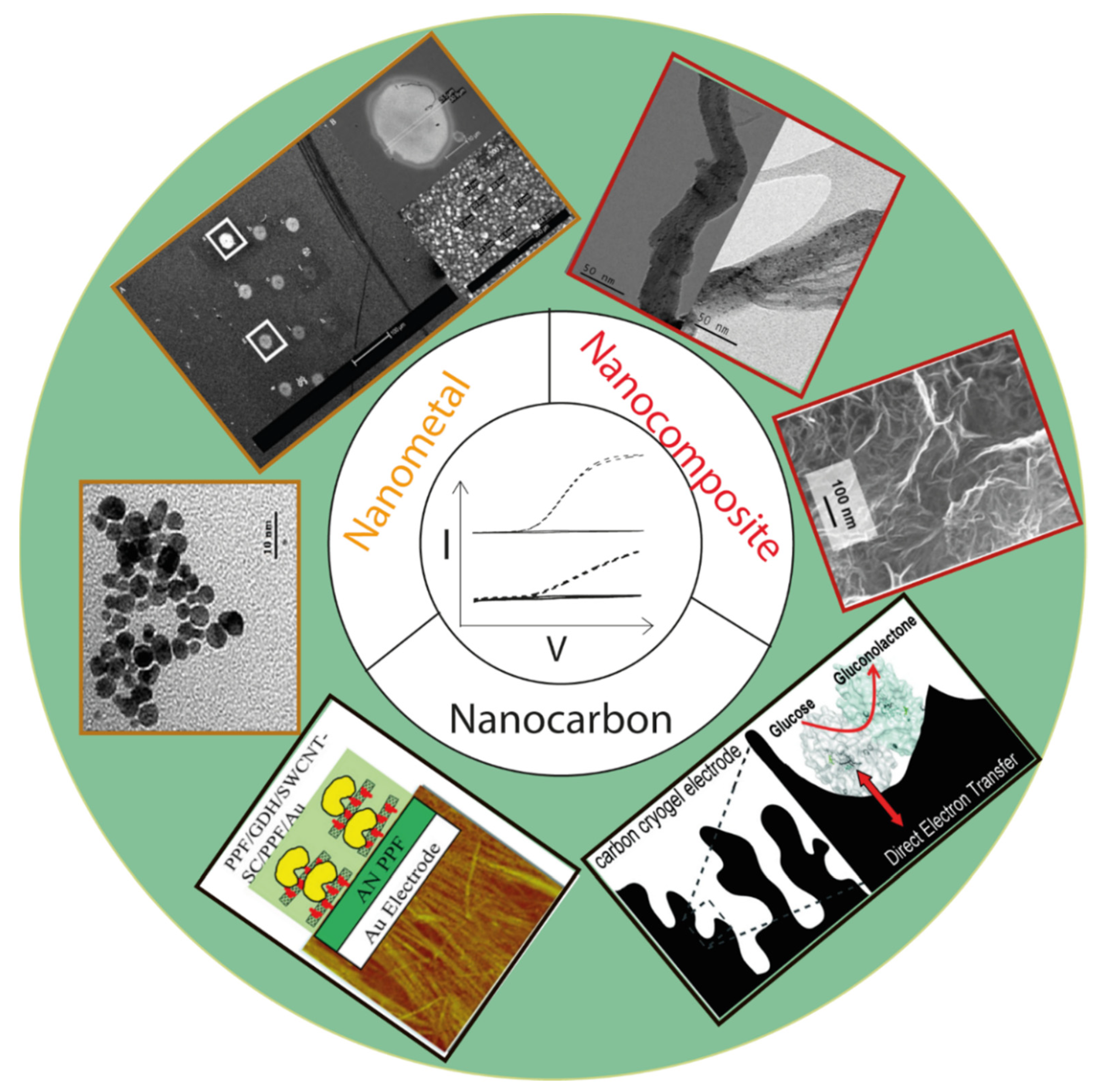 Molecules 26 04525 g017 Molecules 26 04525 g017