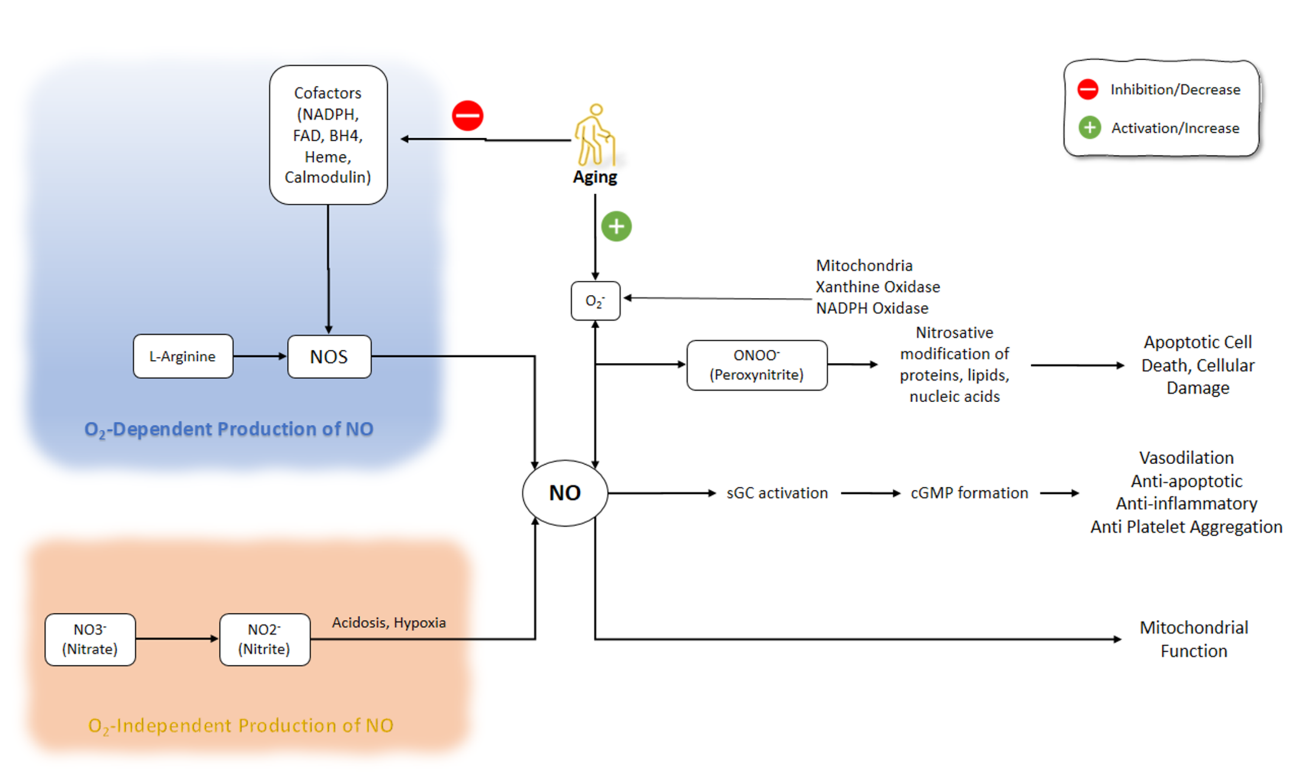 Molecules 26 04533 g001