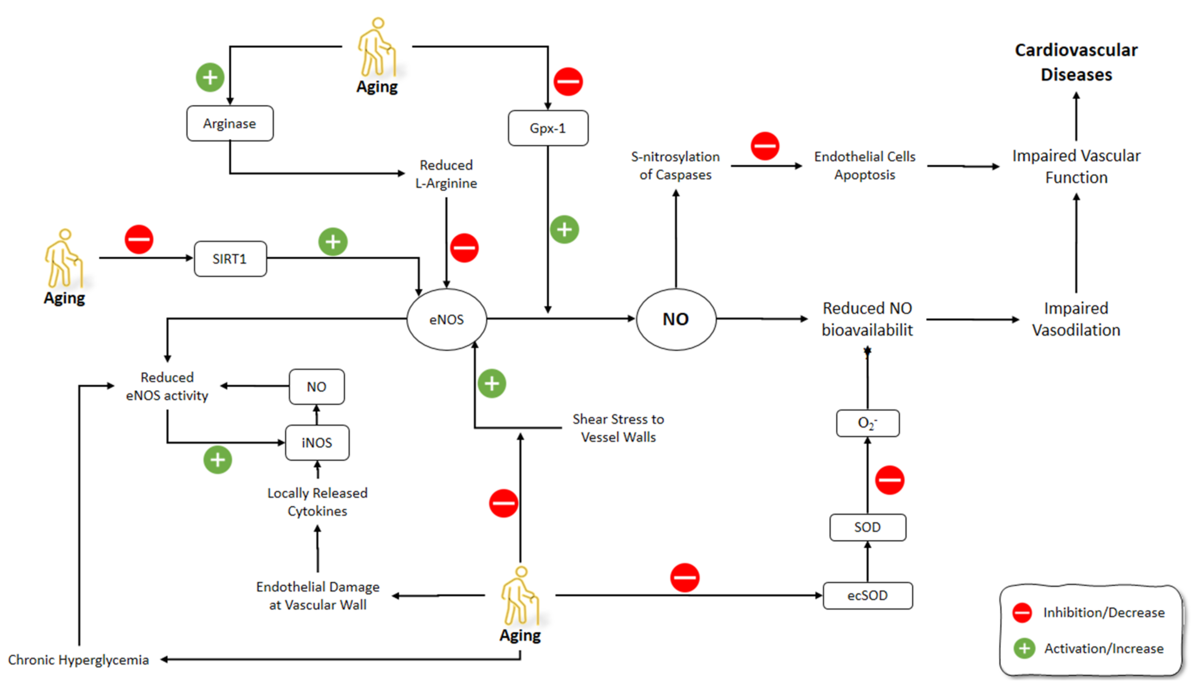 Molecules 26 04533 g002