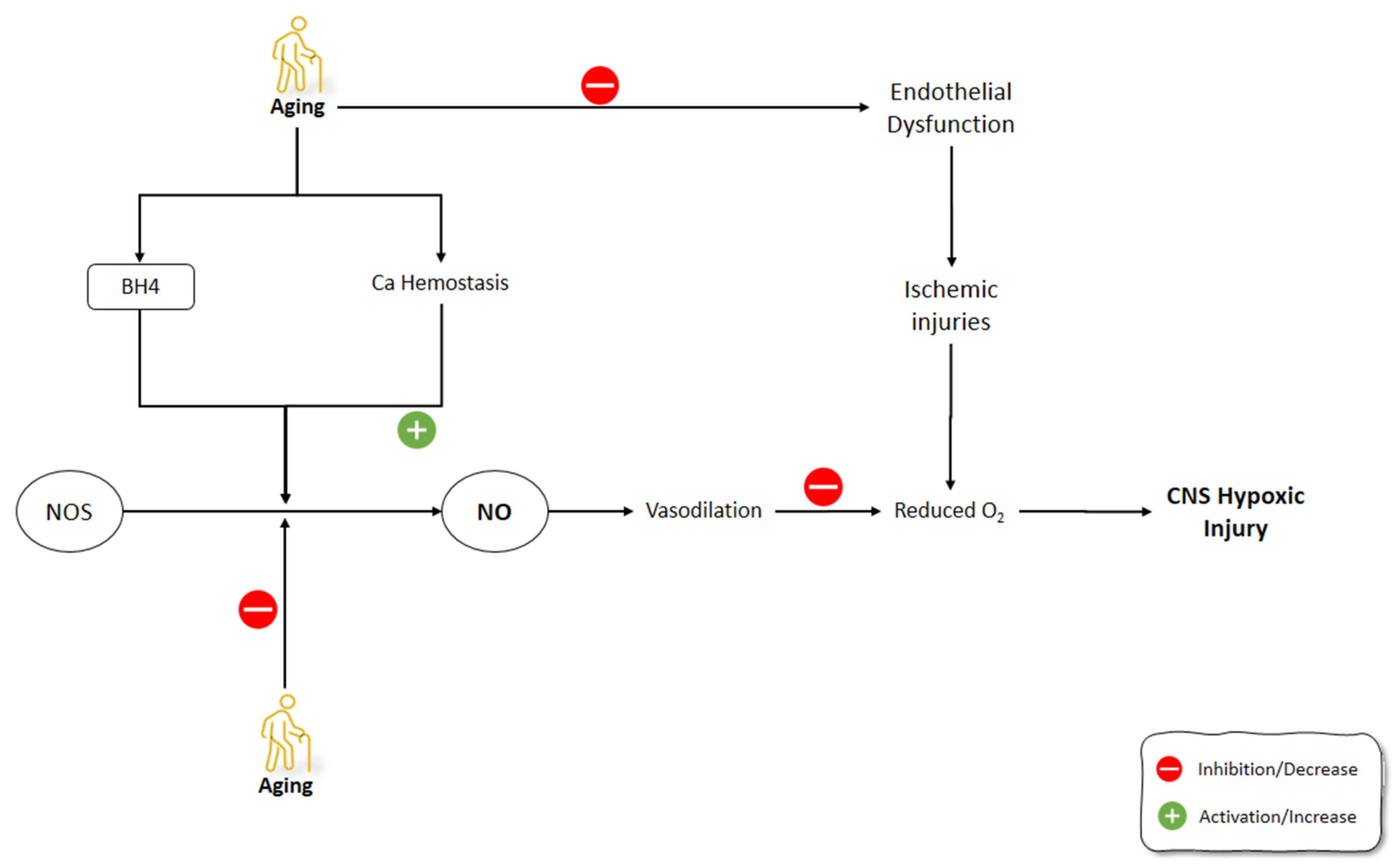 Molecules 26 04533 g004