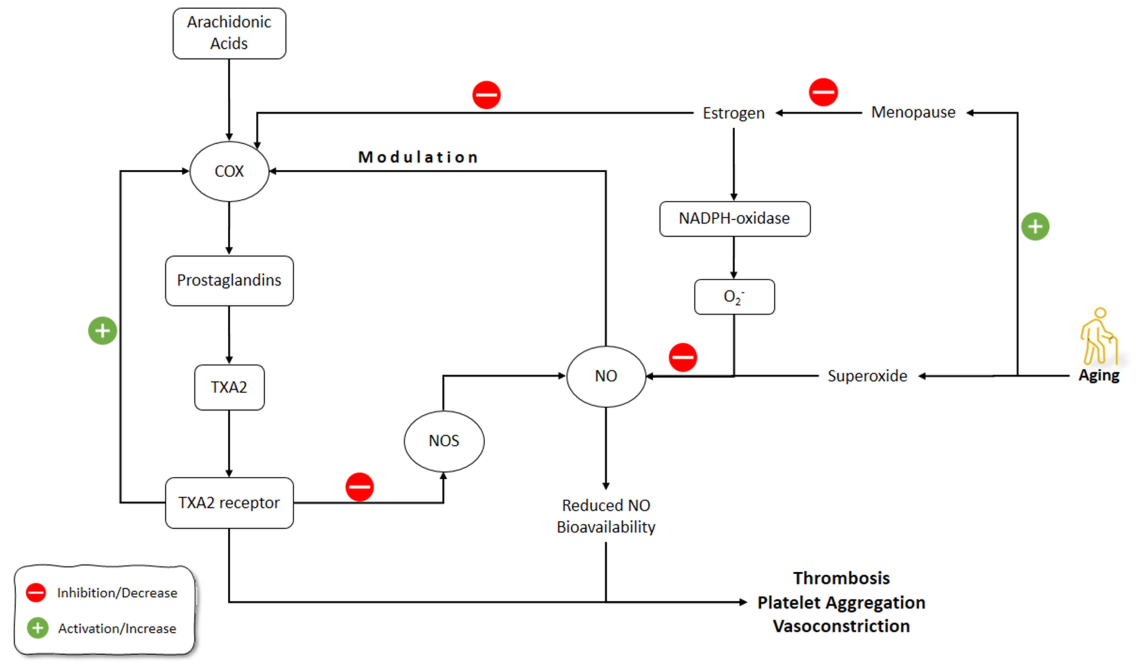Molecules 26 04533 g005