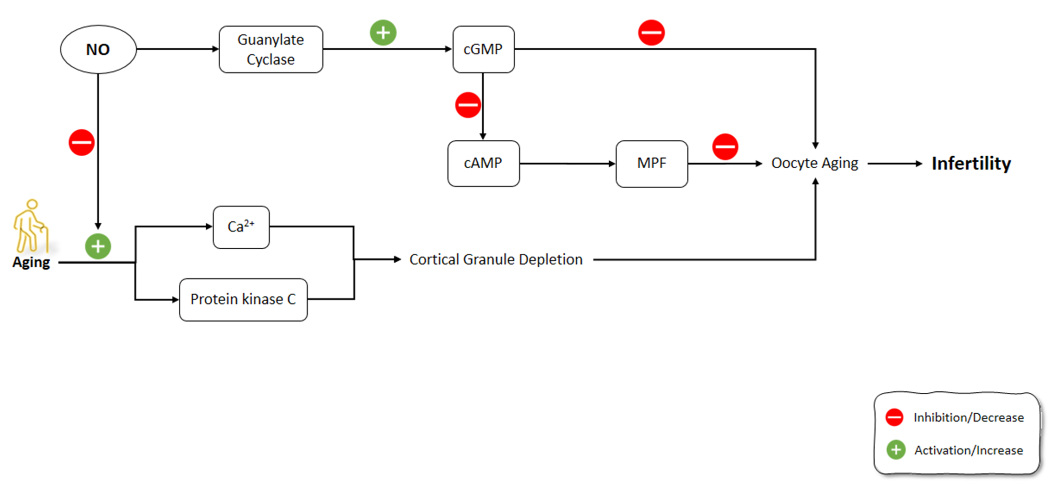 Molecules 26 04533 g006