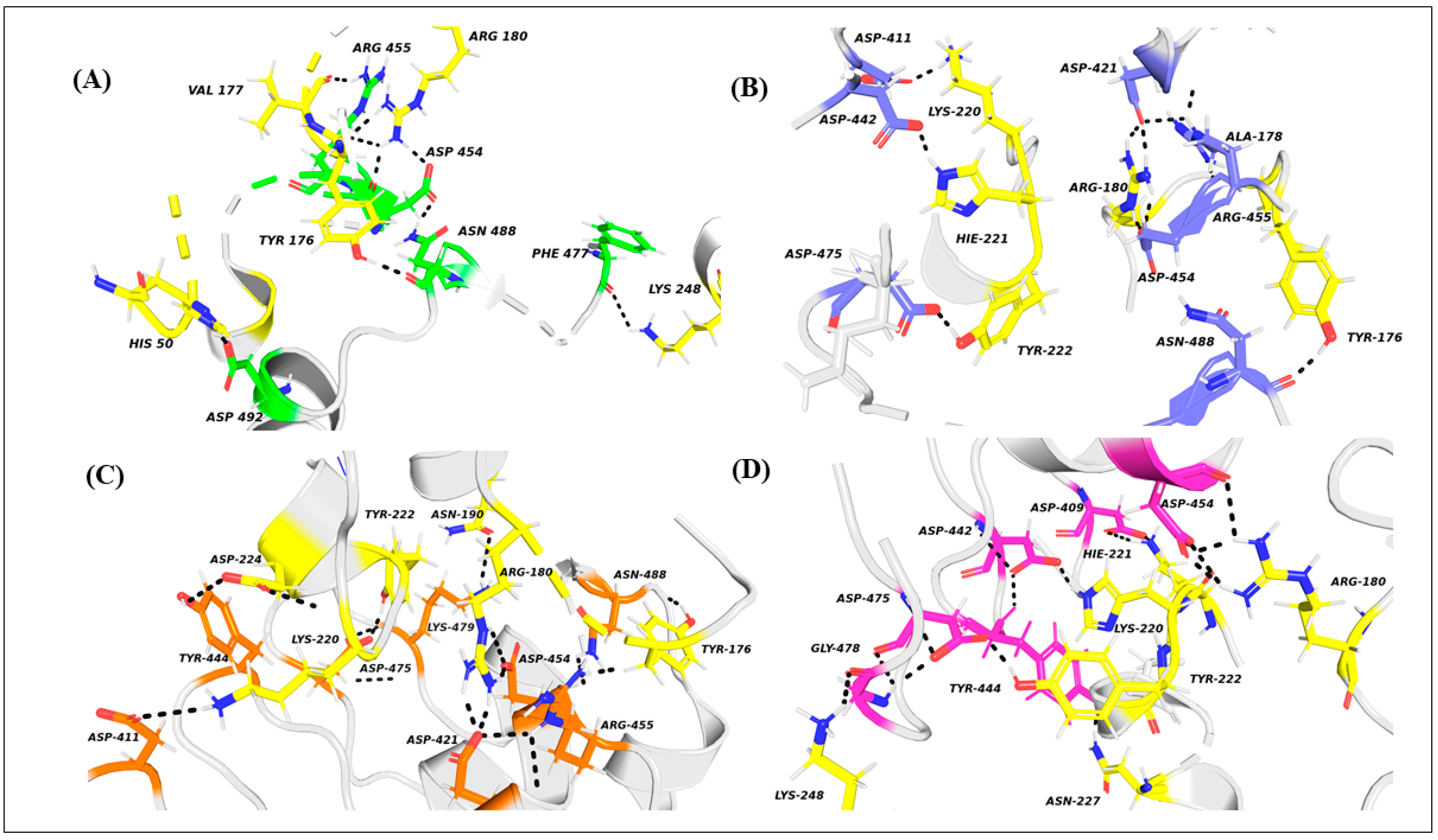 Molecules 26 04540 g006
