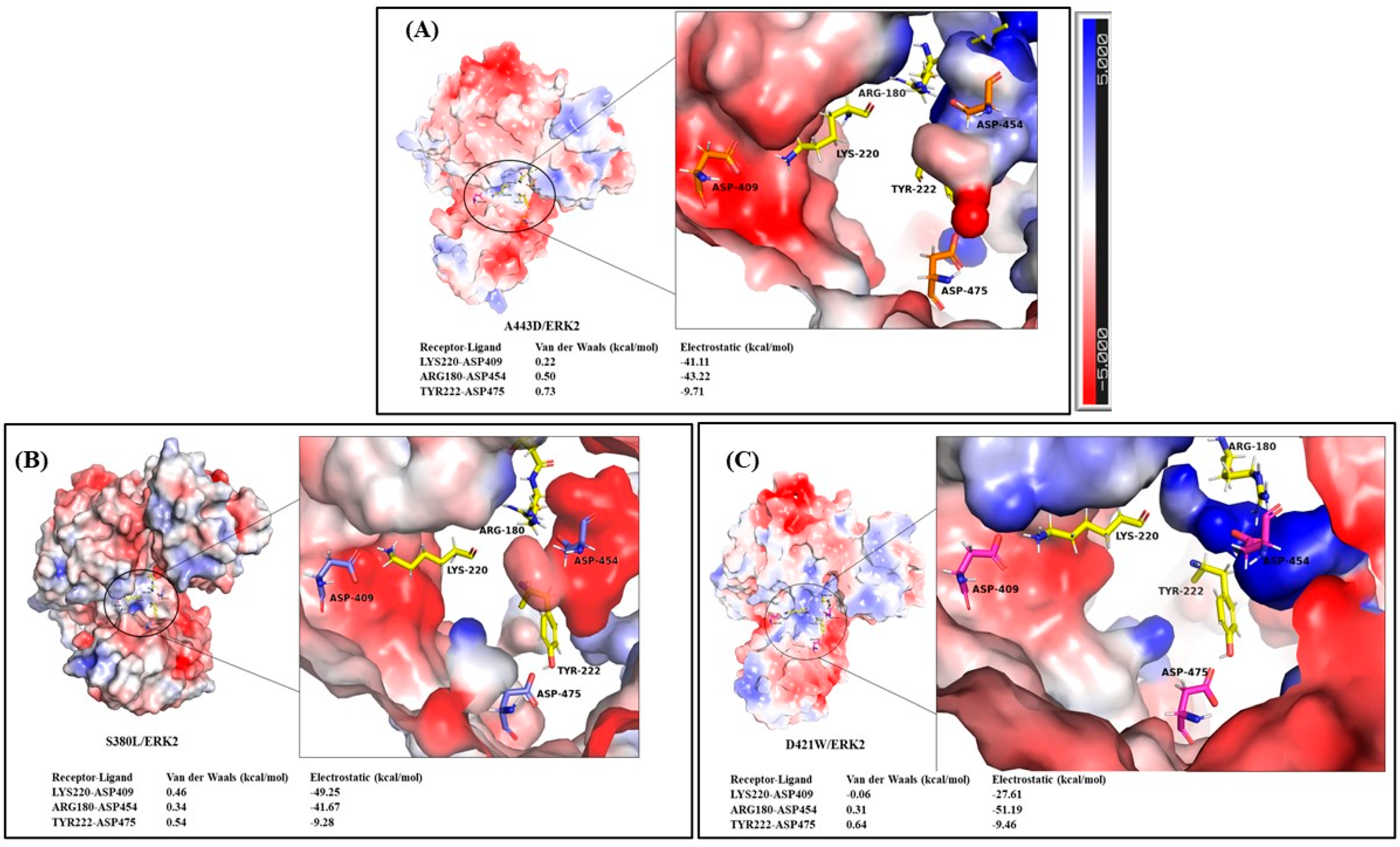 Molecules 26 04540 g007