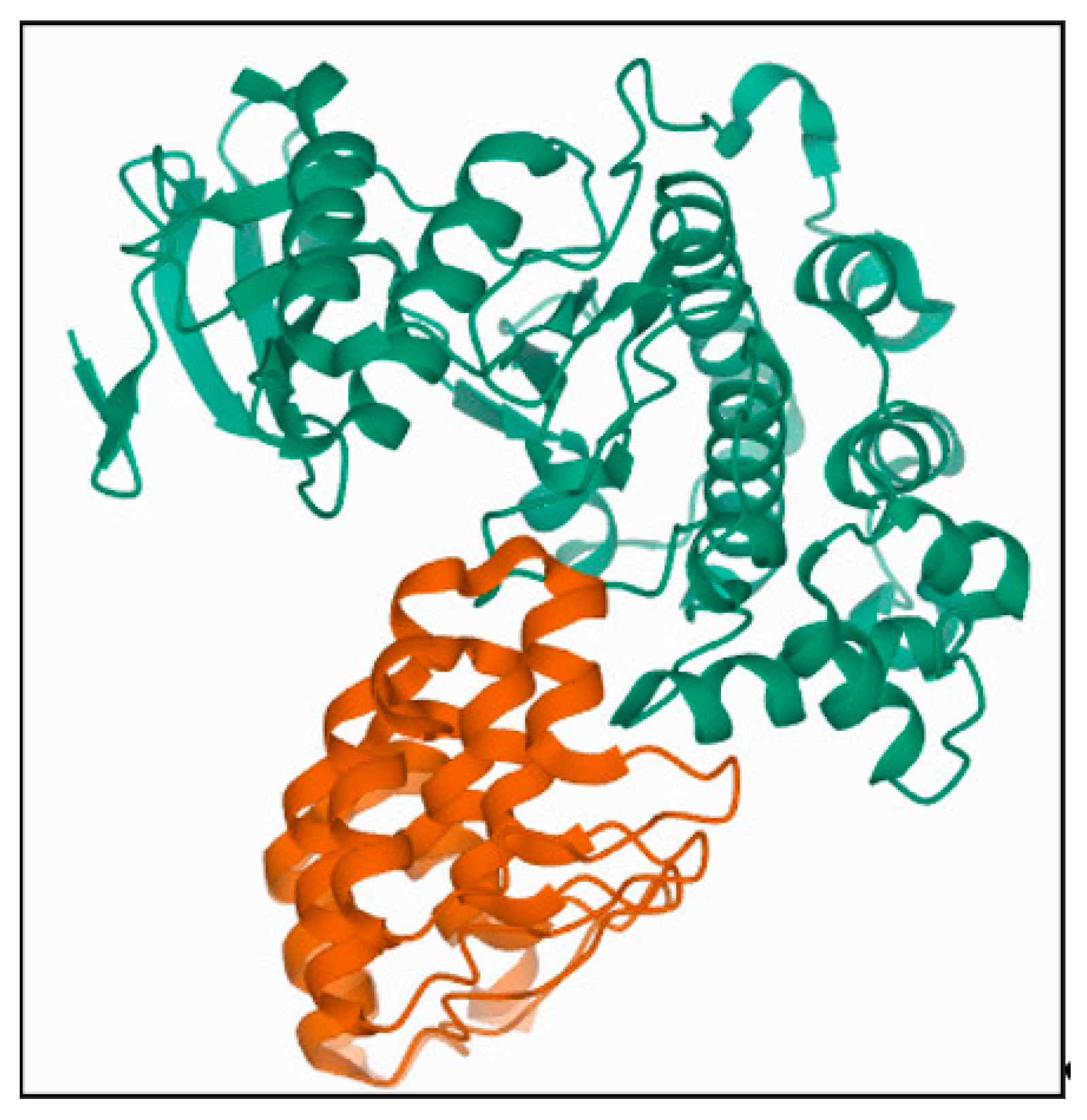 Molecules 26 04540 g008