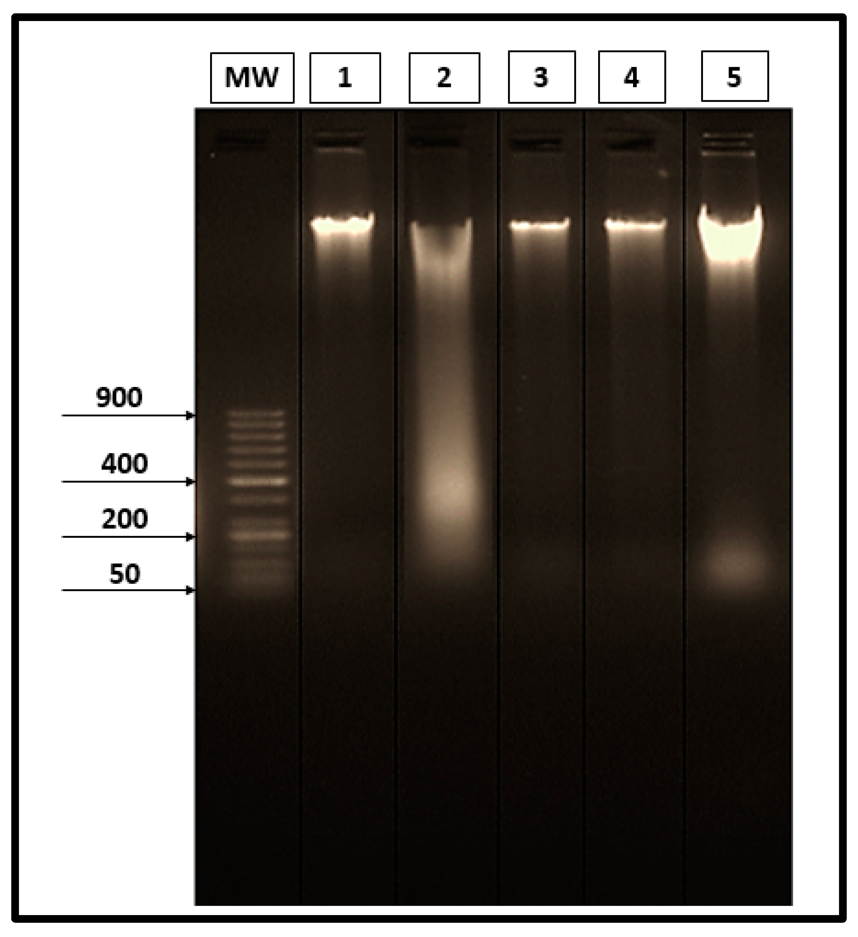 Molecules 26 04542 g005