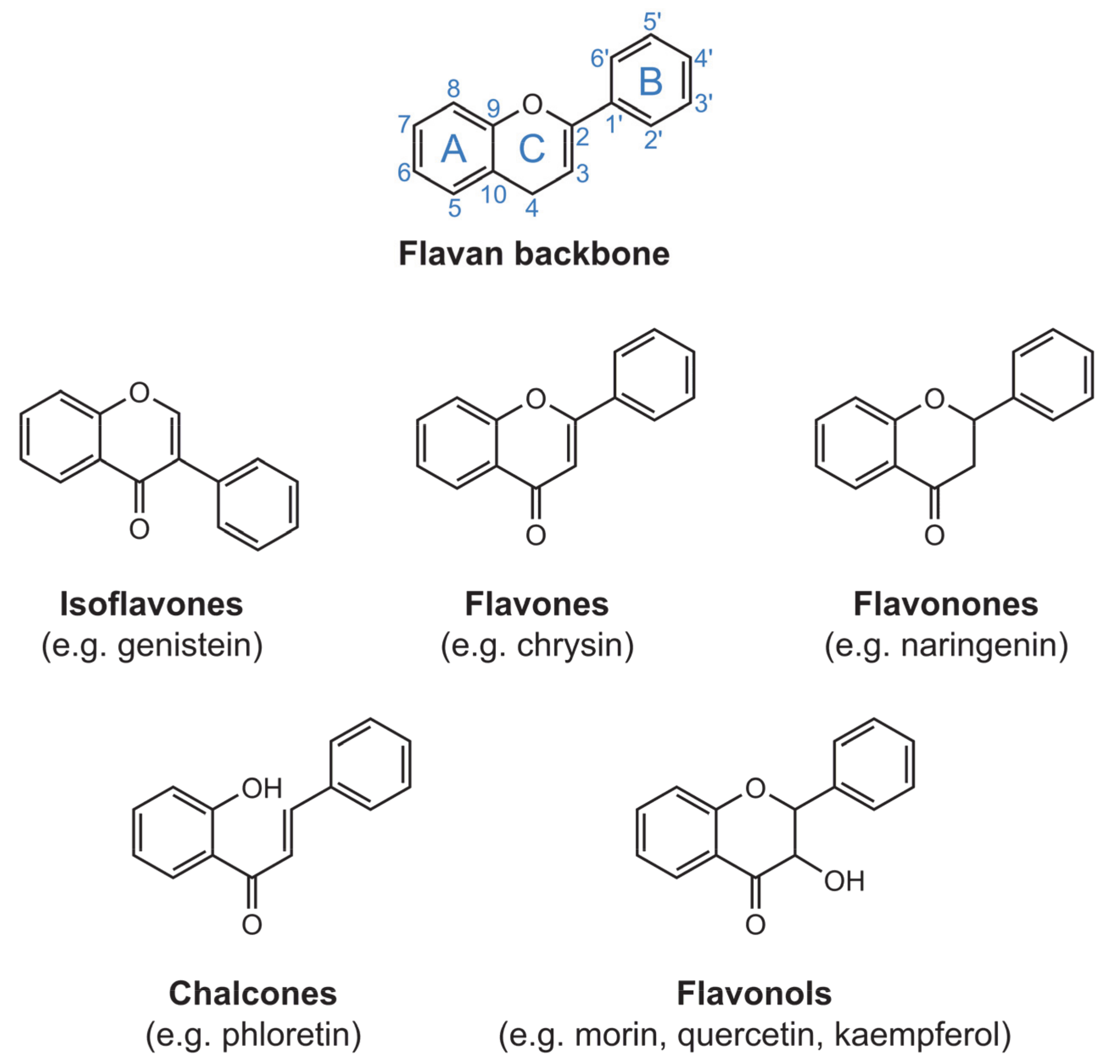 Molecules 26 04544 g001