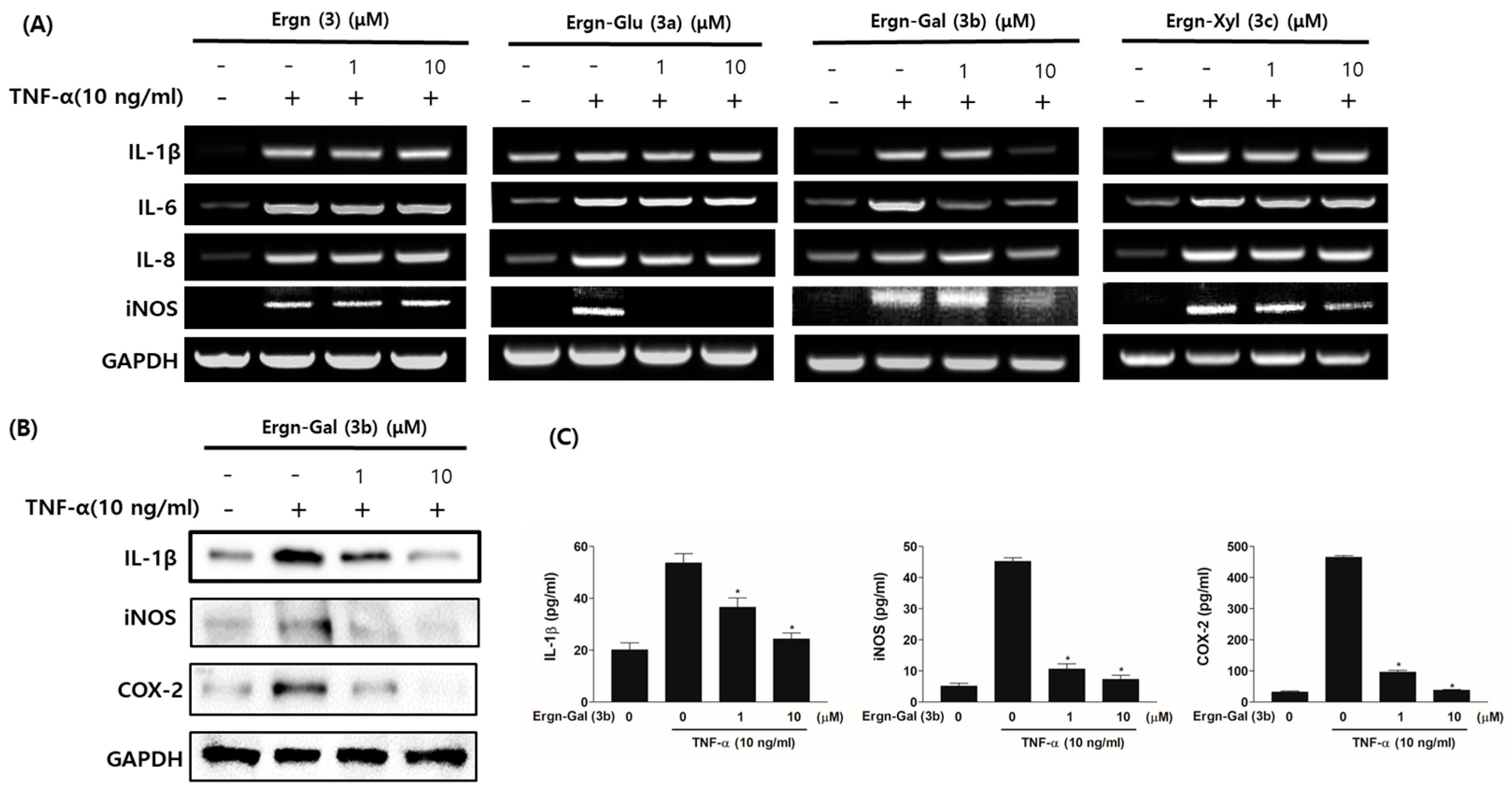 Molecules 26 04547 g004