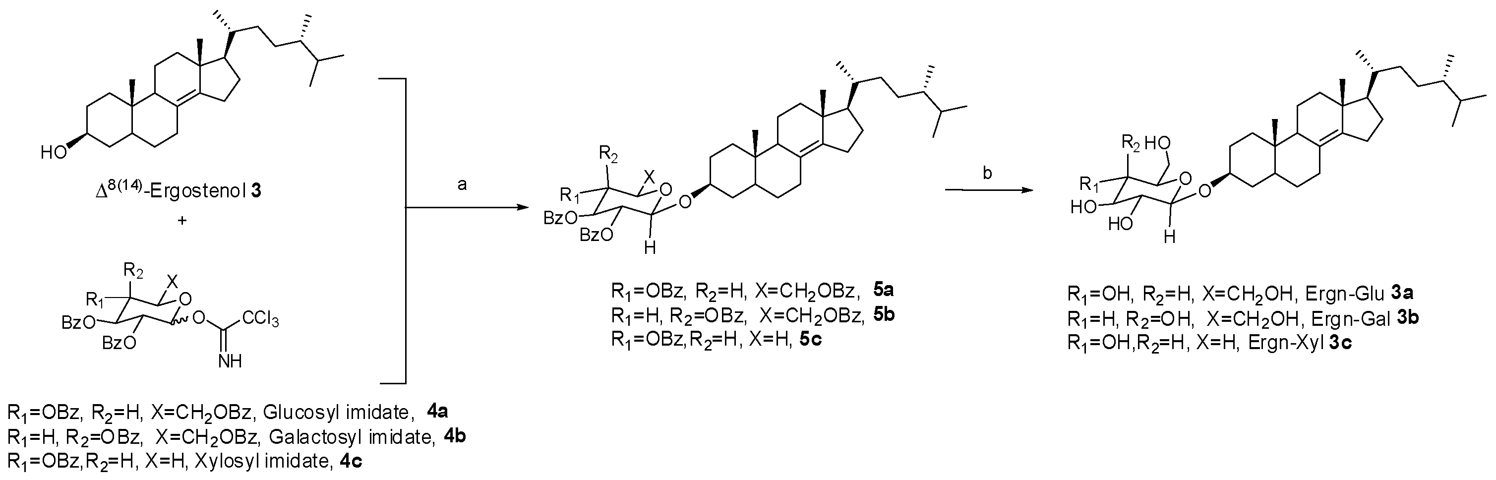 Molecules 26 04547 sch001