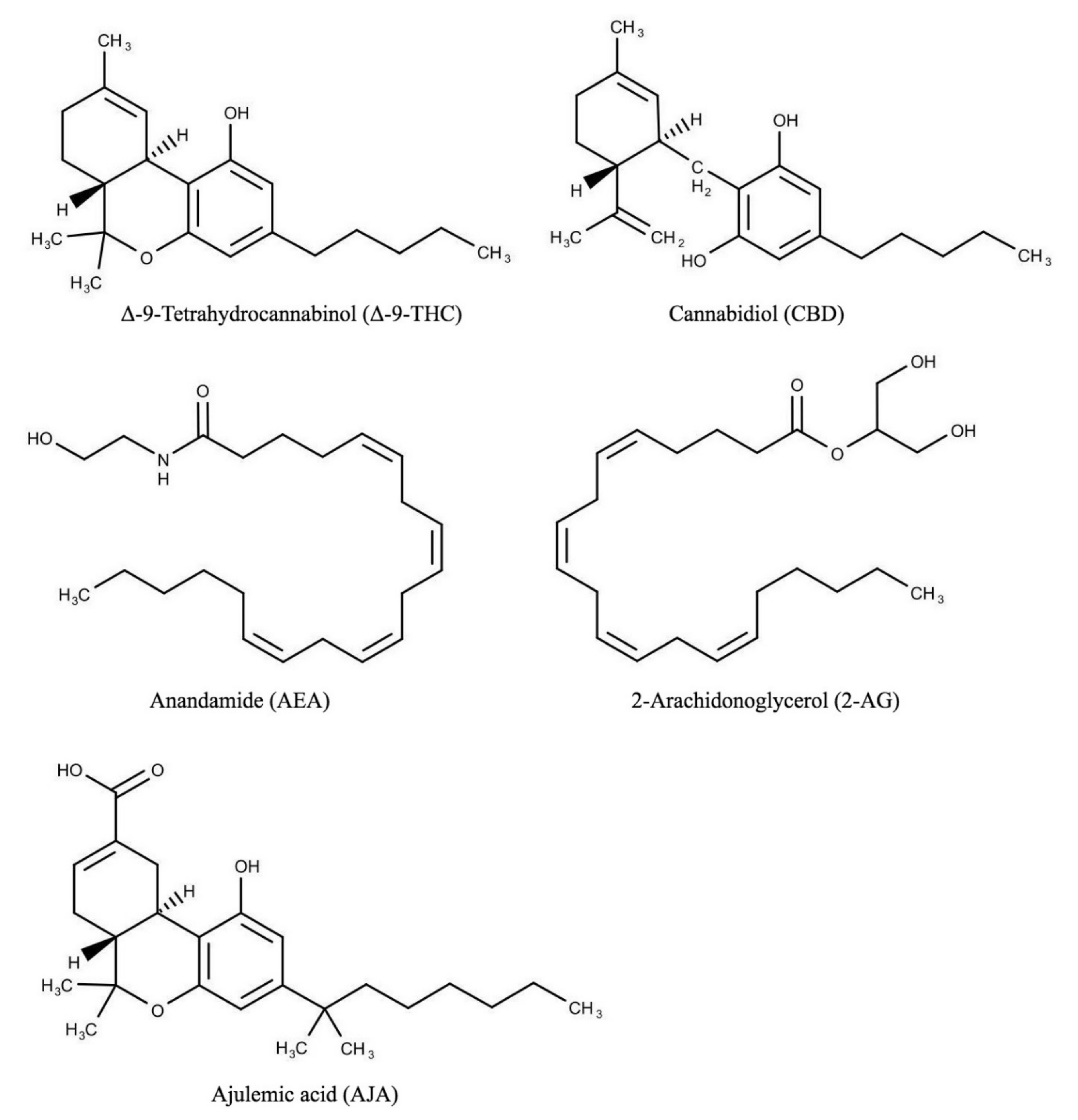 Molecules 26 04551 g001