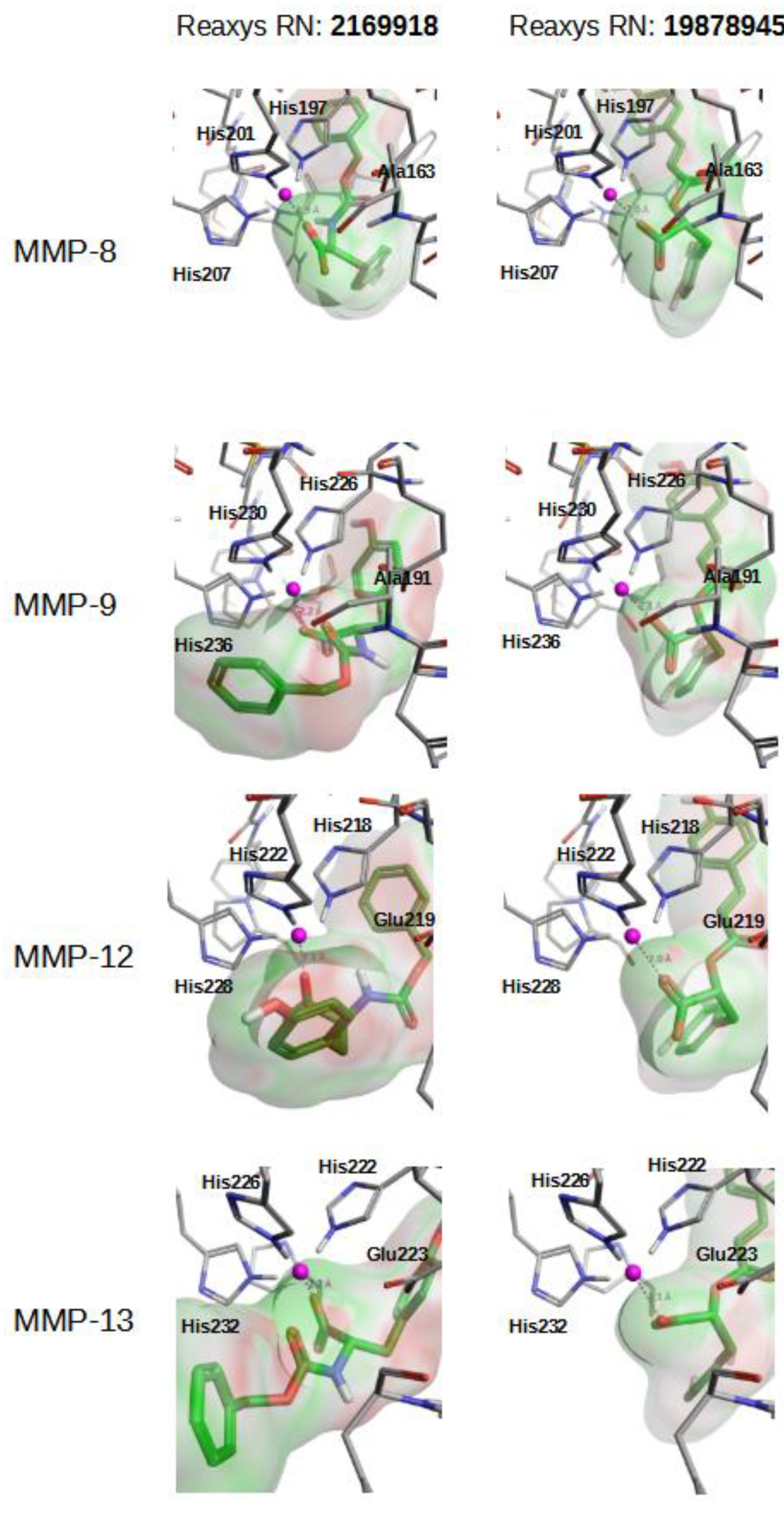 Molecules 26 04553 g005 Molecules 26 04553 g005