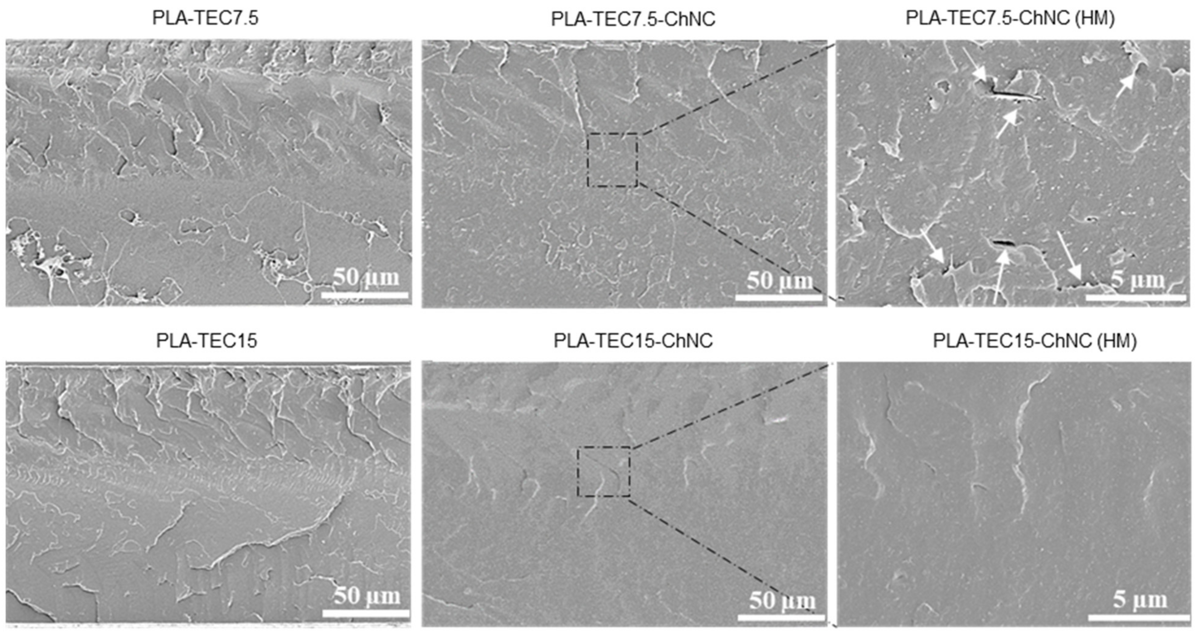 Molecules 26 04557 g004