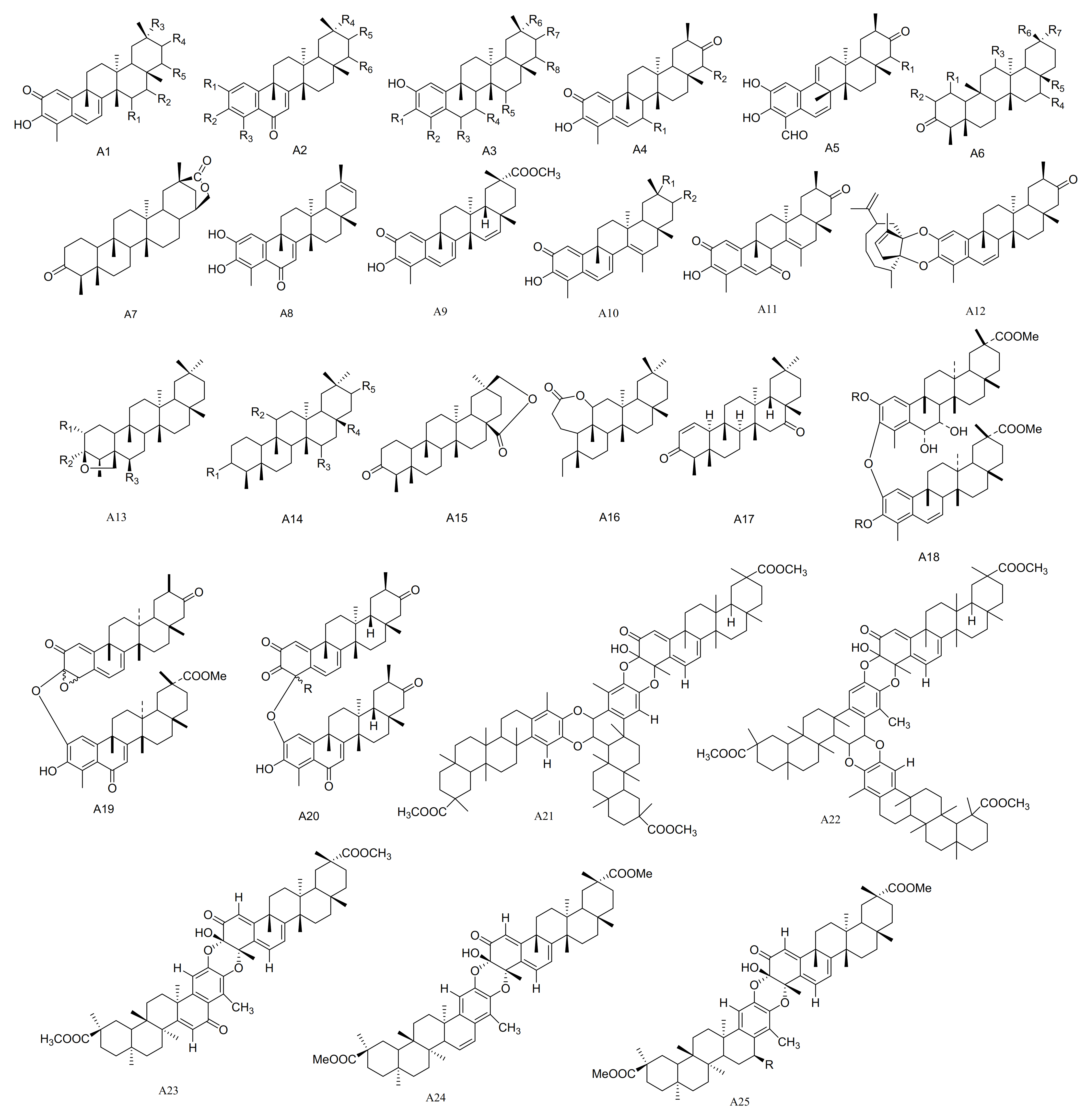 Molecules 26 04563 g001 Molecules 26 04563 g001