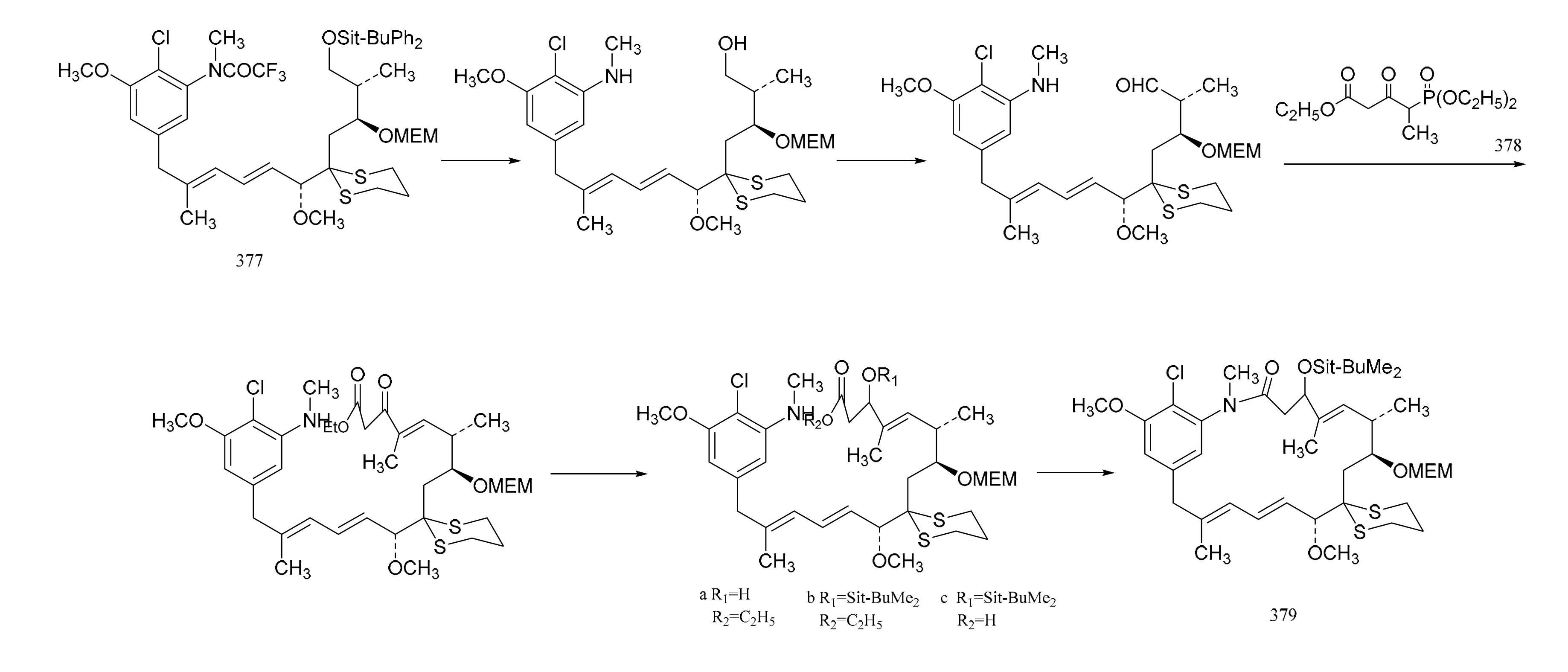 Molecules 26 04563 g024a Molecules 26 04563 g024a