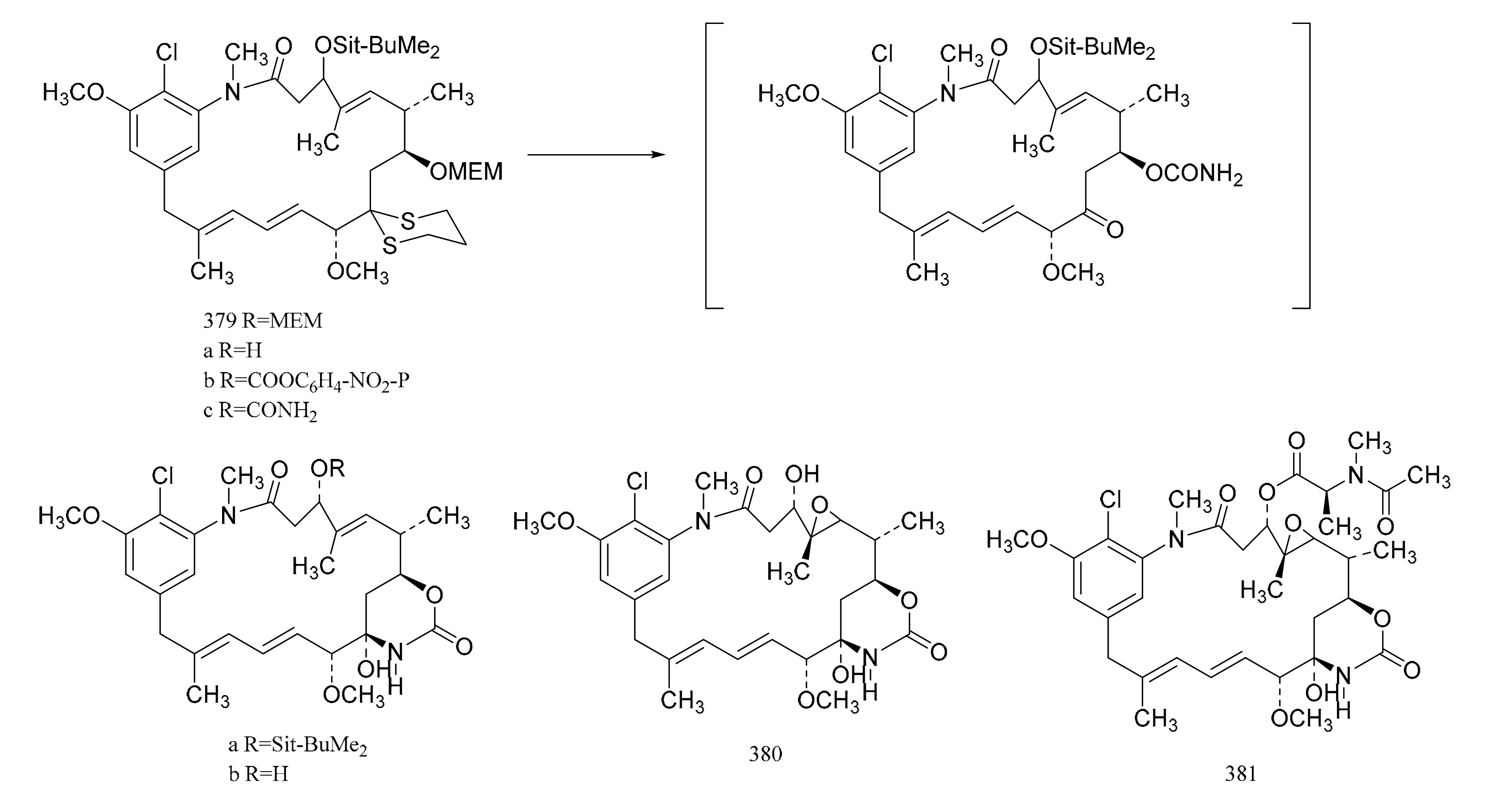 Molecules 26 04563 g024b Molecules 26 04563 g024b