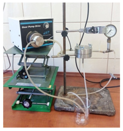 Molecules 26 04572 g0a1