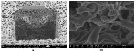 Molecules 26 04572 g0a2