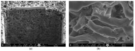 Molecules 26 04572 g0a9