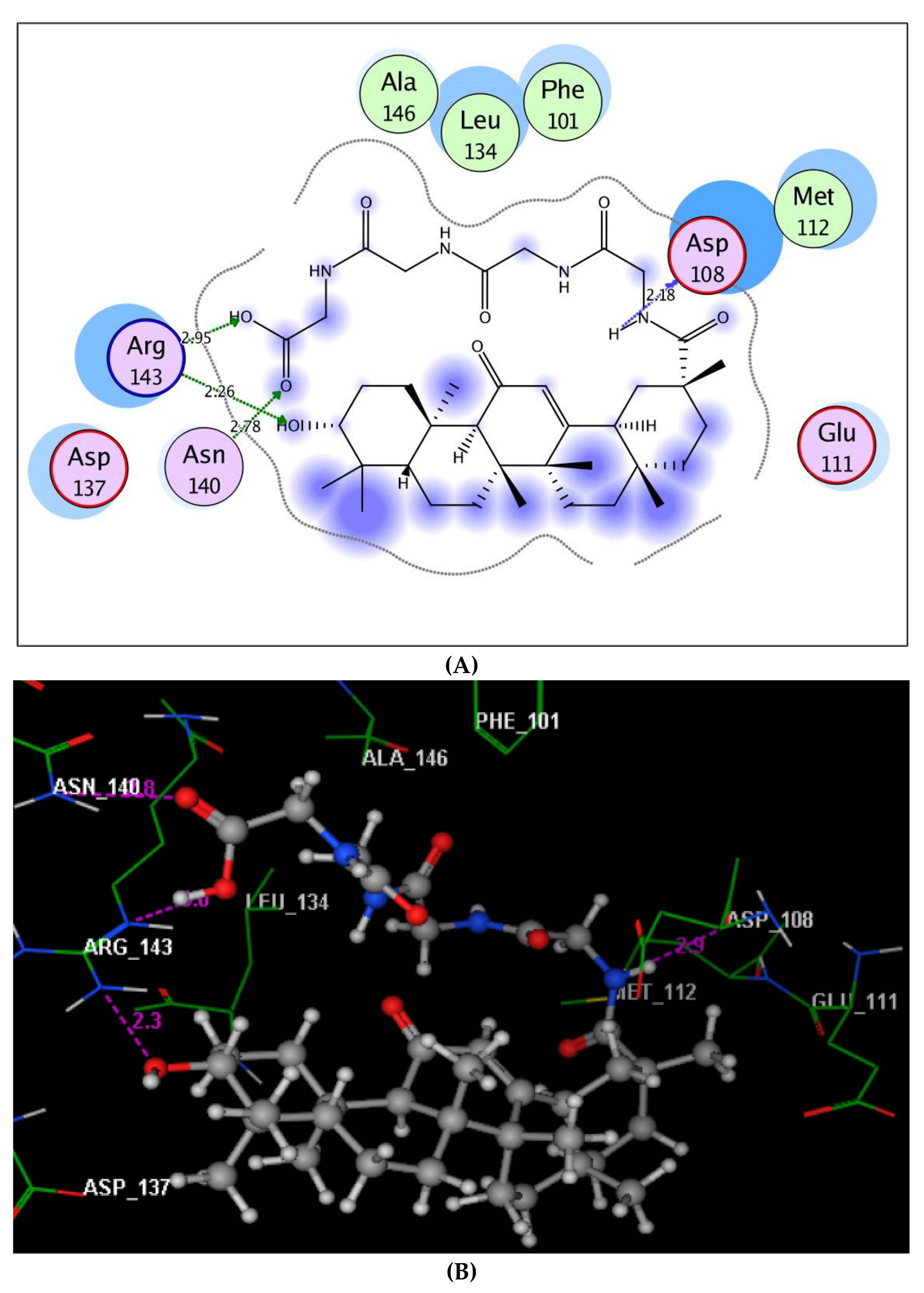 Molecules 26 04573 g007