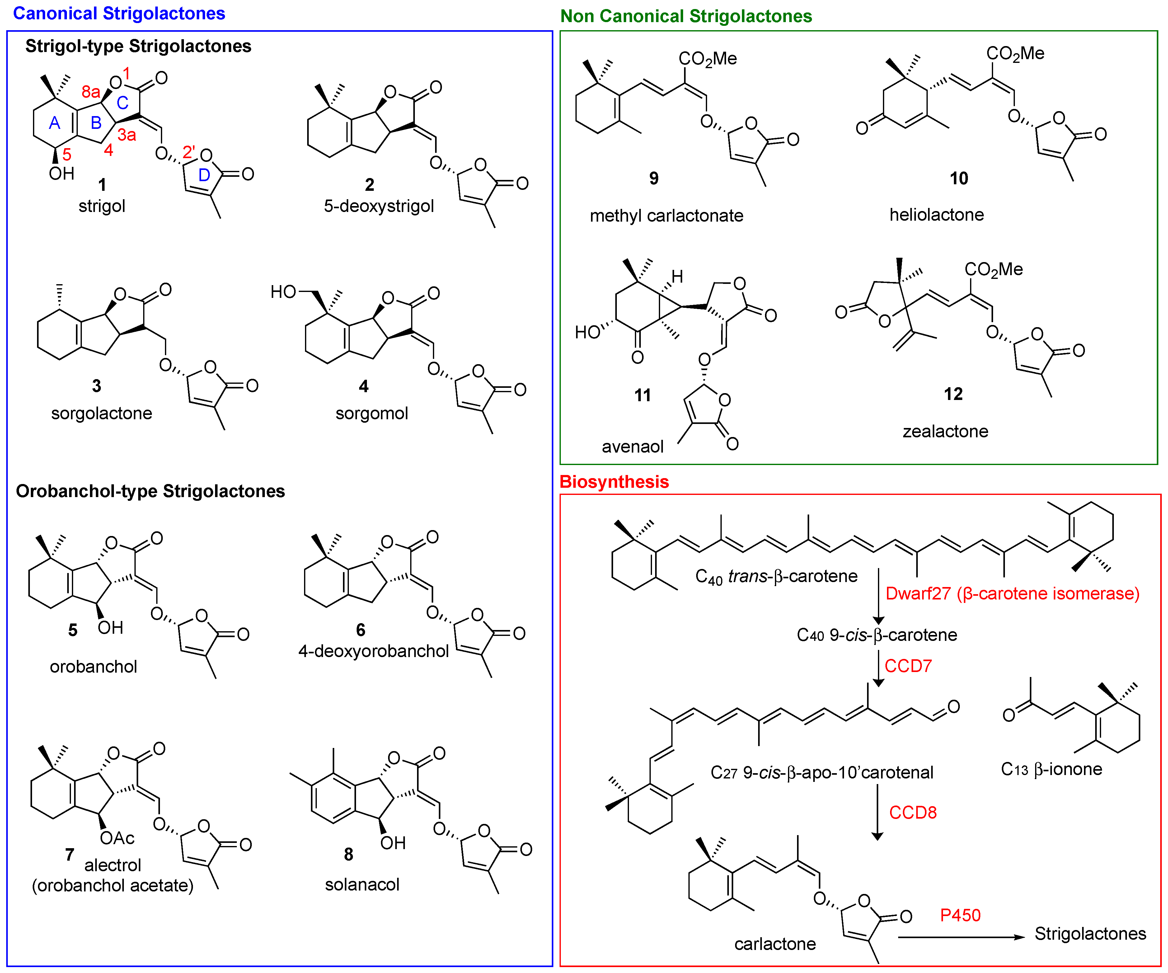 Molecules 26 04579 g001