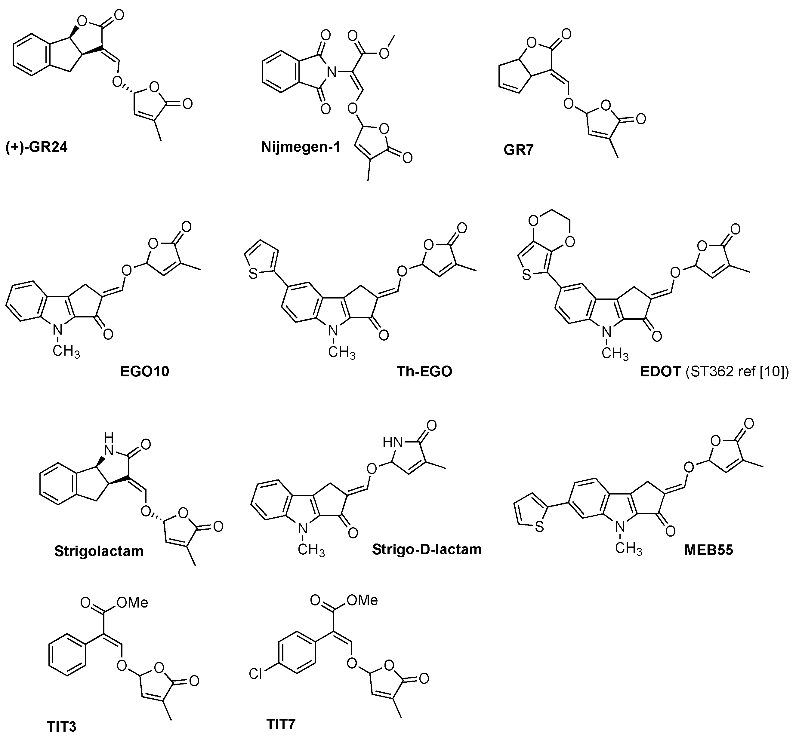 Molecules 26 04579 g002