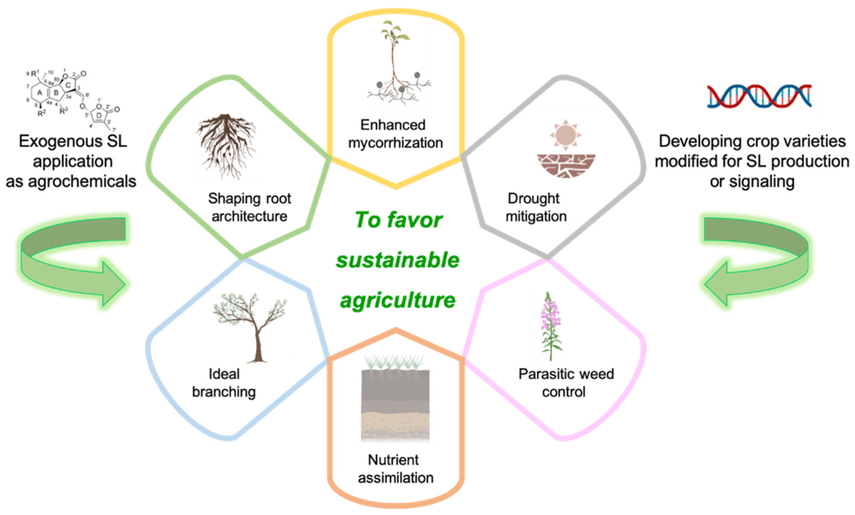Molecules 26 04579 g003