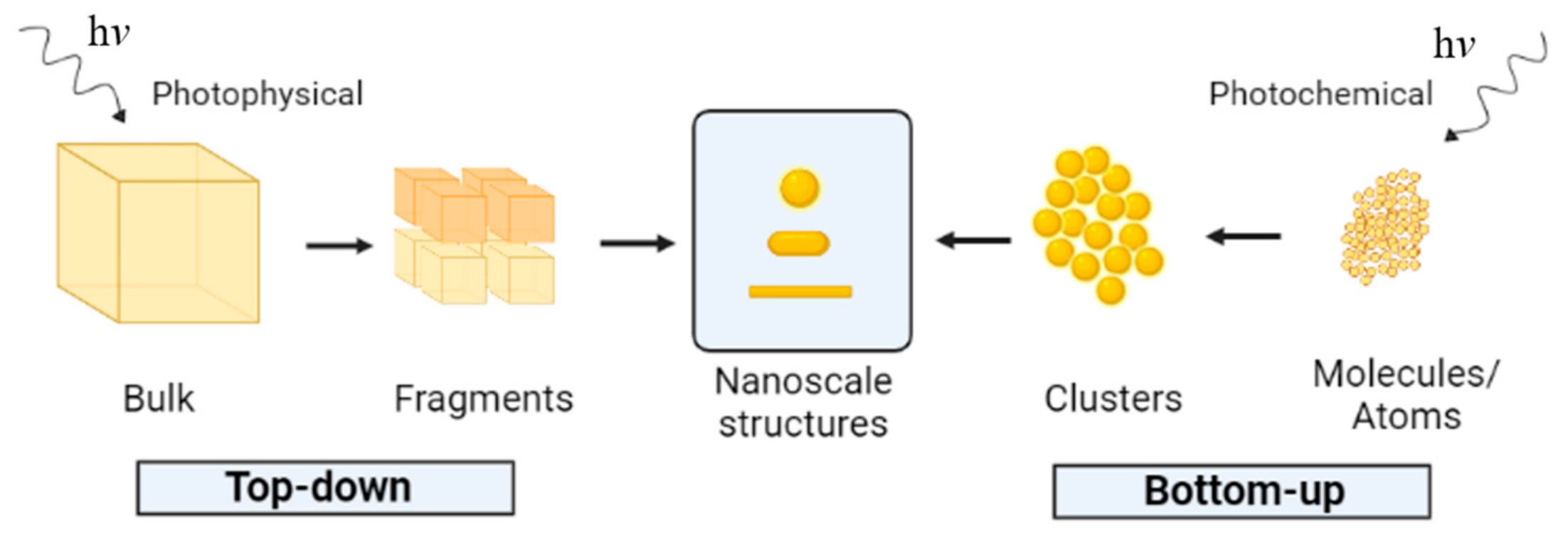 Molecules 26 04585 g001