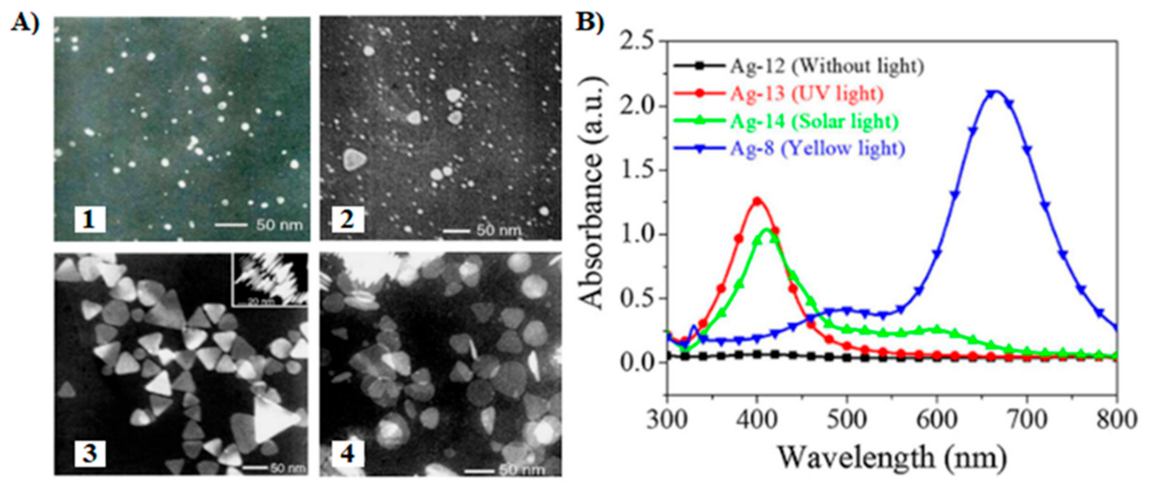 Molecules 26 04585 g006